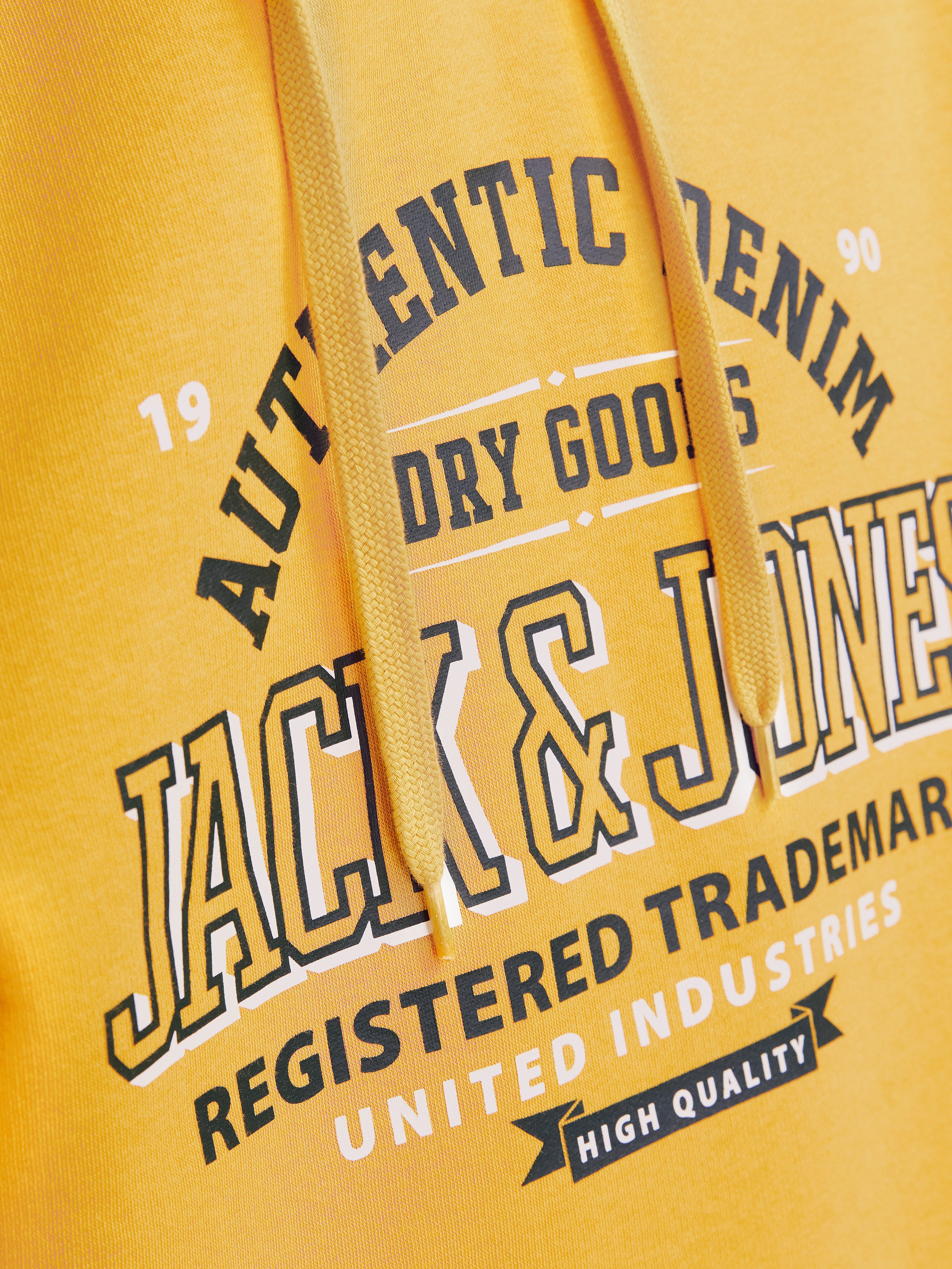 Jack & Jones Hoodie JJELOGO SWEAT HOOD 2 COL 24 25 NOOS