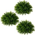 creativ green kunstplant buxus halfrond set van 3 (3 stuks) groen