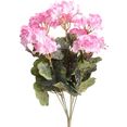 botanic-haus kunstbloem geraniums groot (1 stuk) roze