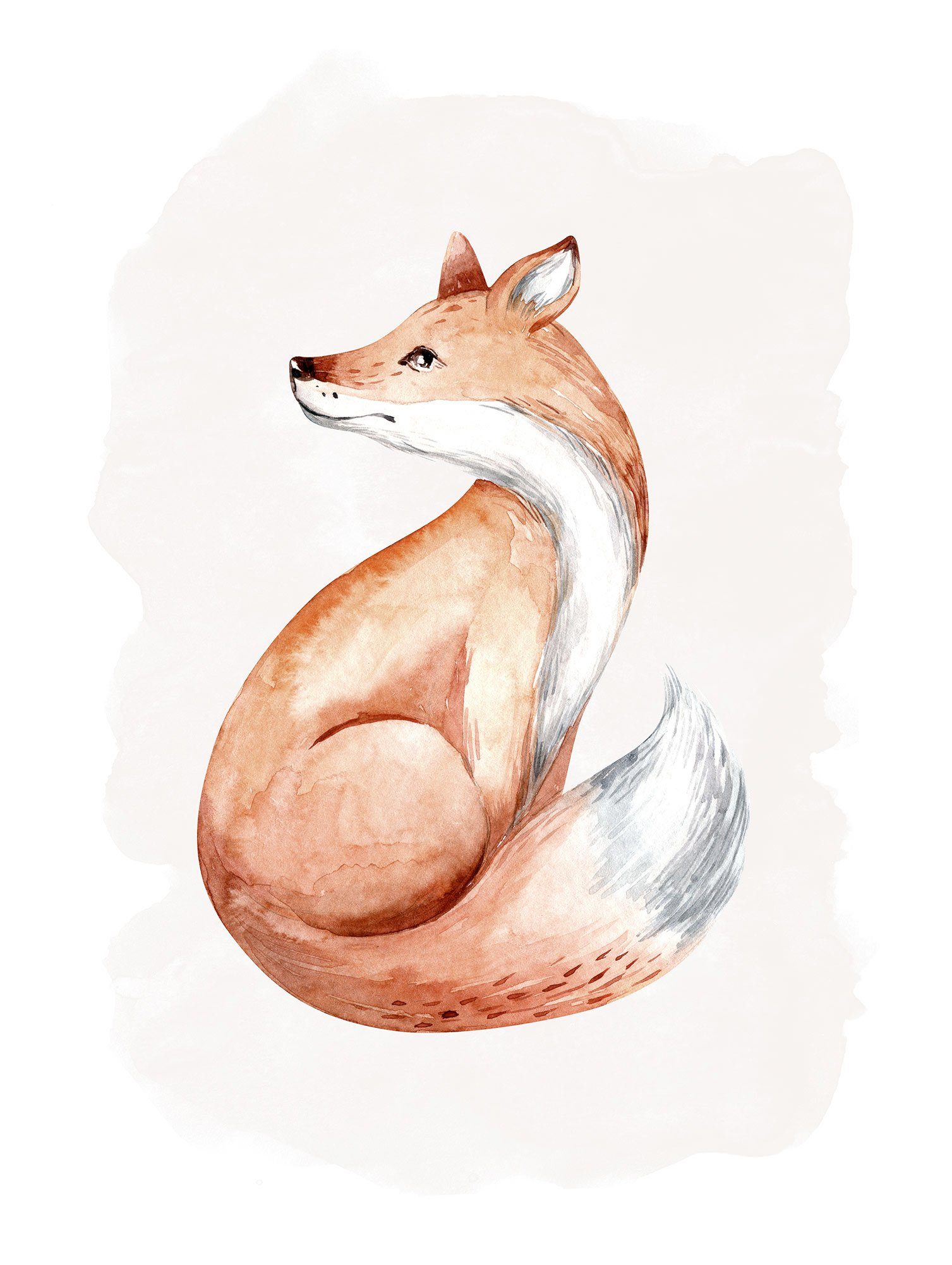 Komar Poster Curious Fox