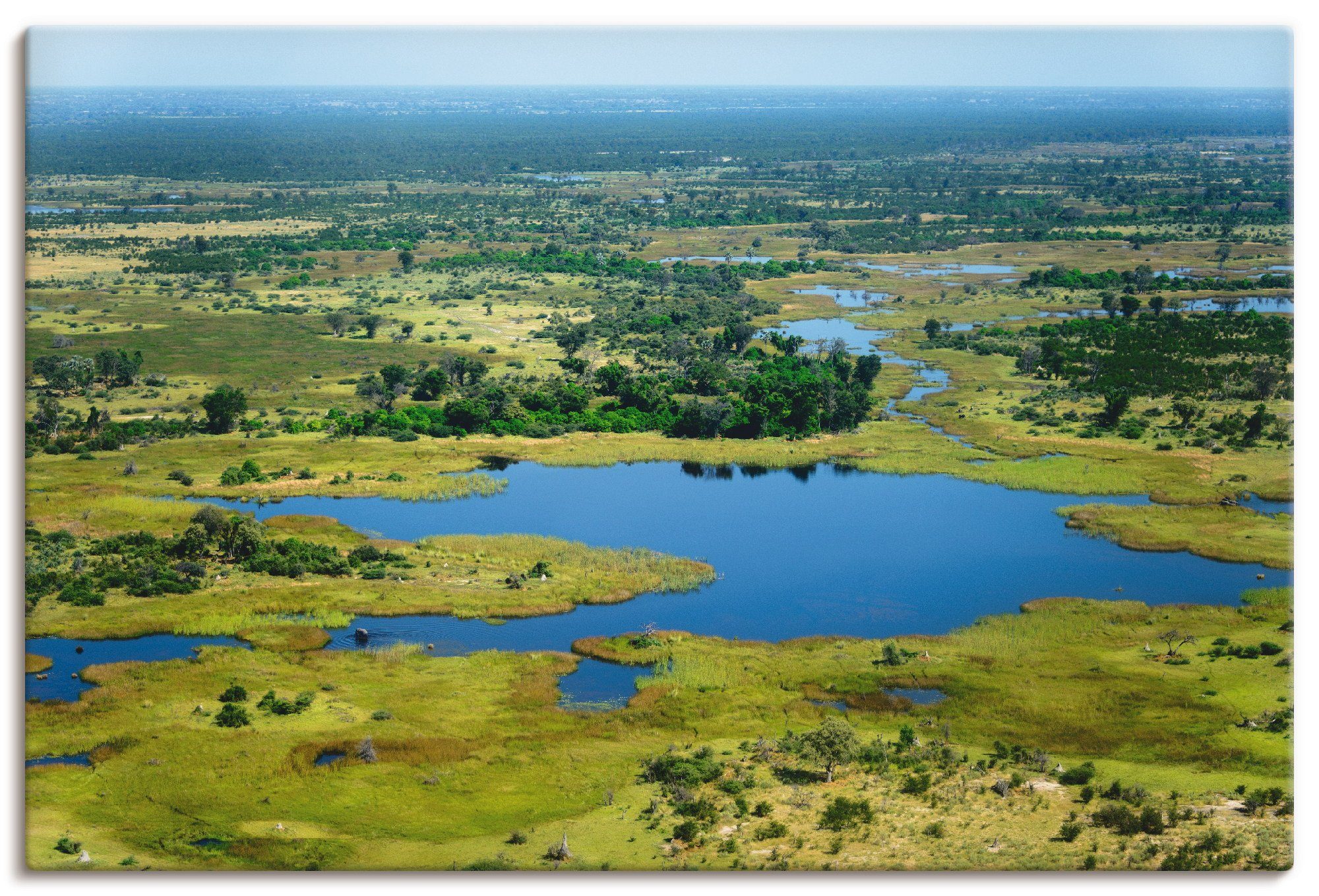 Artland Artprint Okavangodelta in vele afmetingen & productsoorten - artprint van aluminium / artprint voor buiten, artprint op linnen, poster, muursticker / wandfolie ook geschikt