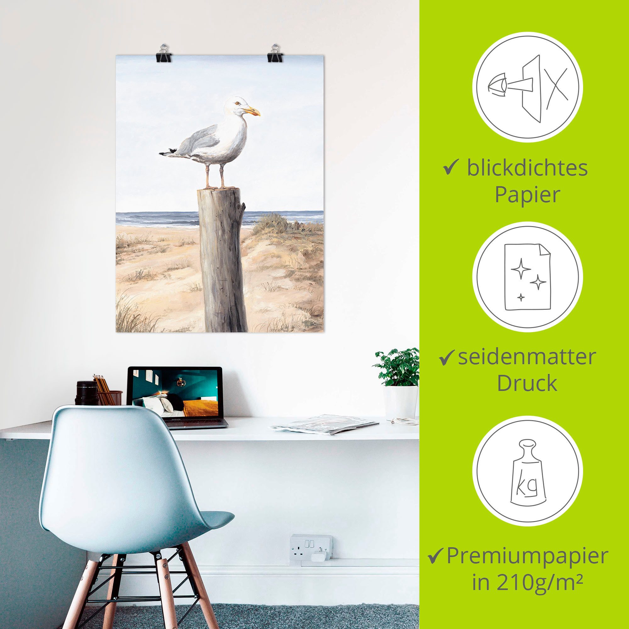 Artland Artprint Meeuw als artprint van aluminium, artprint voor buiten, artprint op linnen, poster, muursticker