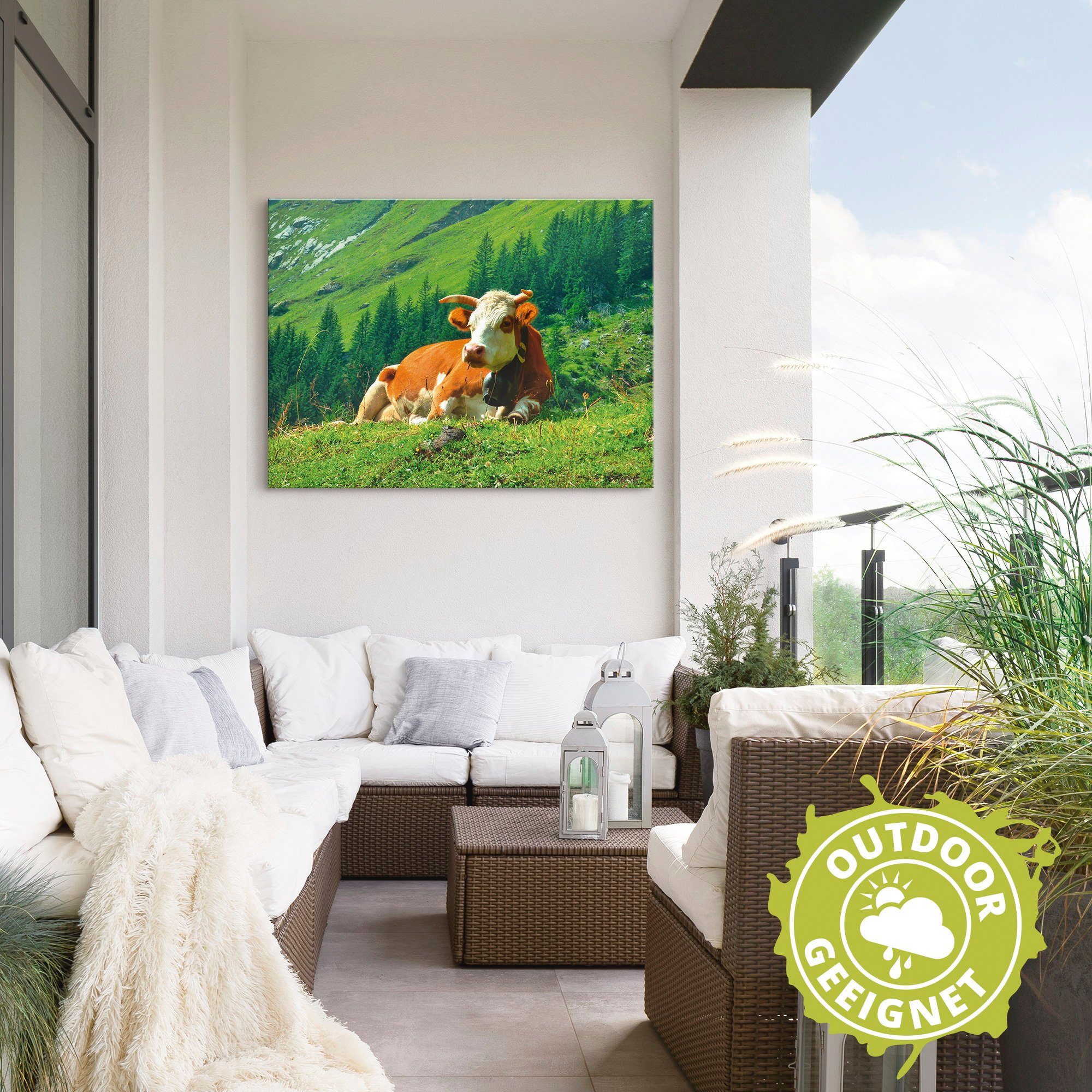 Artland Artprint Koe op de Zwitserse bergweide als artprint van aluminium, artprint op linnen, muursticker of poster in verschillende maten