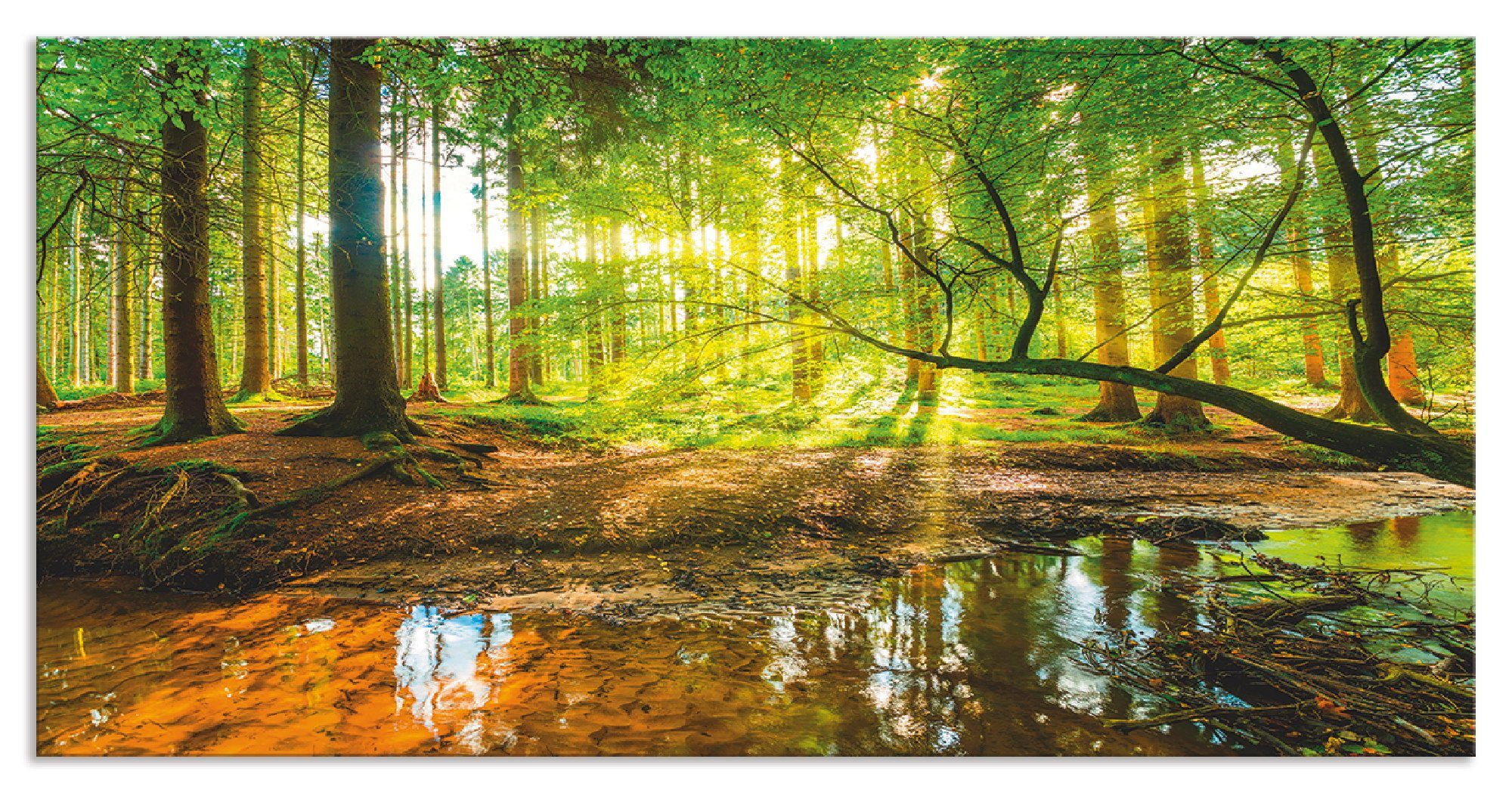 Artland Keukenwand Bos met beek zelfklevend in vele maten - spatscherm keuken achter kookplaat en spoelbak als wandbescherming tegen vet, water en vuil - achterwand, wandbekleding