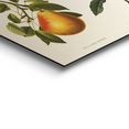 reinders! artprint vruchten nostalgisch - vruchten - jam (1 stuk) geel