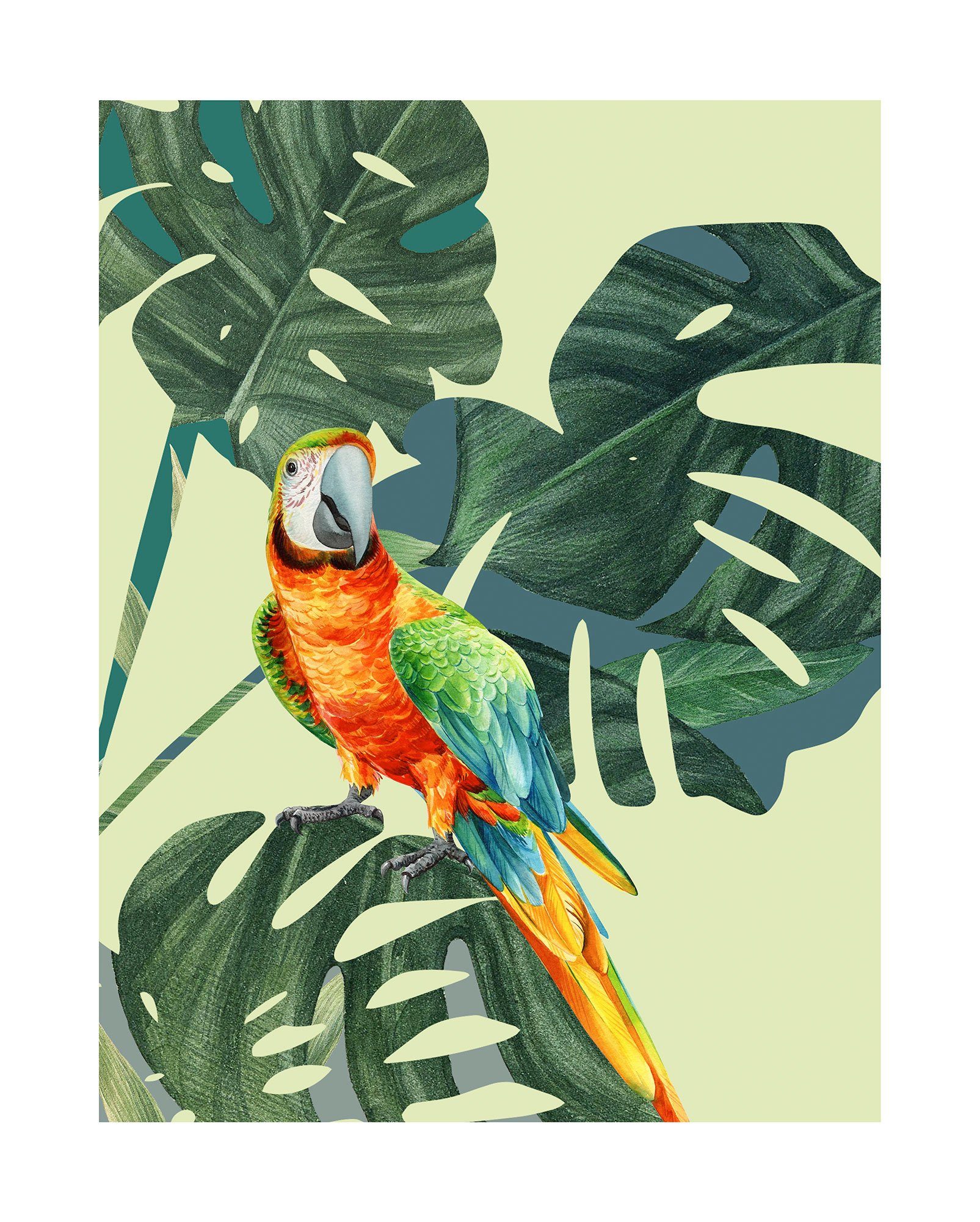 Komar Poster Green-Winged Macaw