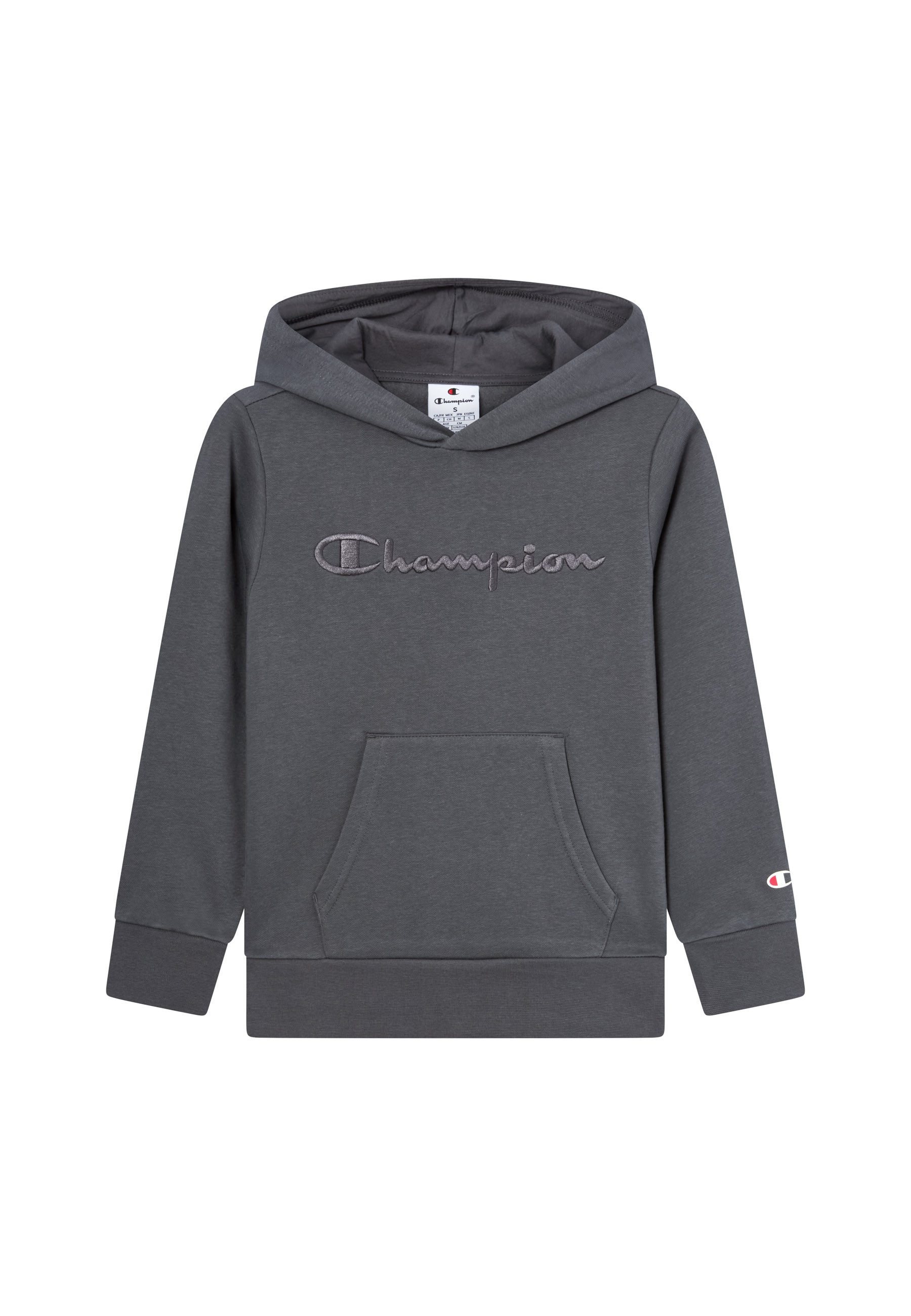 Champion Hoodie ICONS TONAL Hoodie Large Logo (1-delig)
