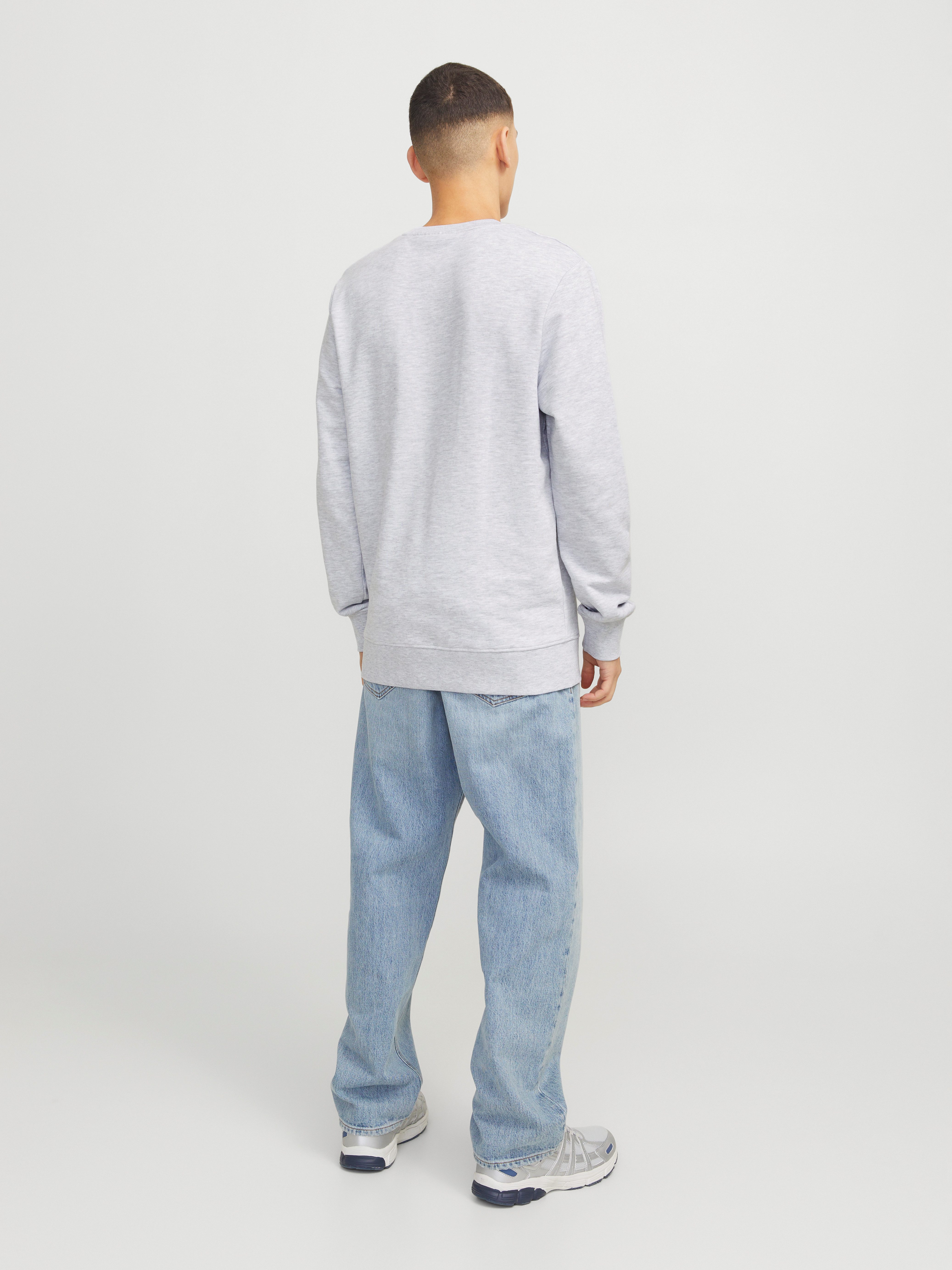 Jack & Jones Sweatshirt JJHUDSON SWEAT CREW NECK