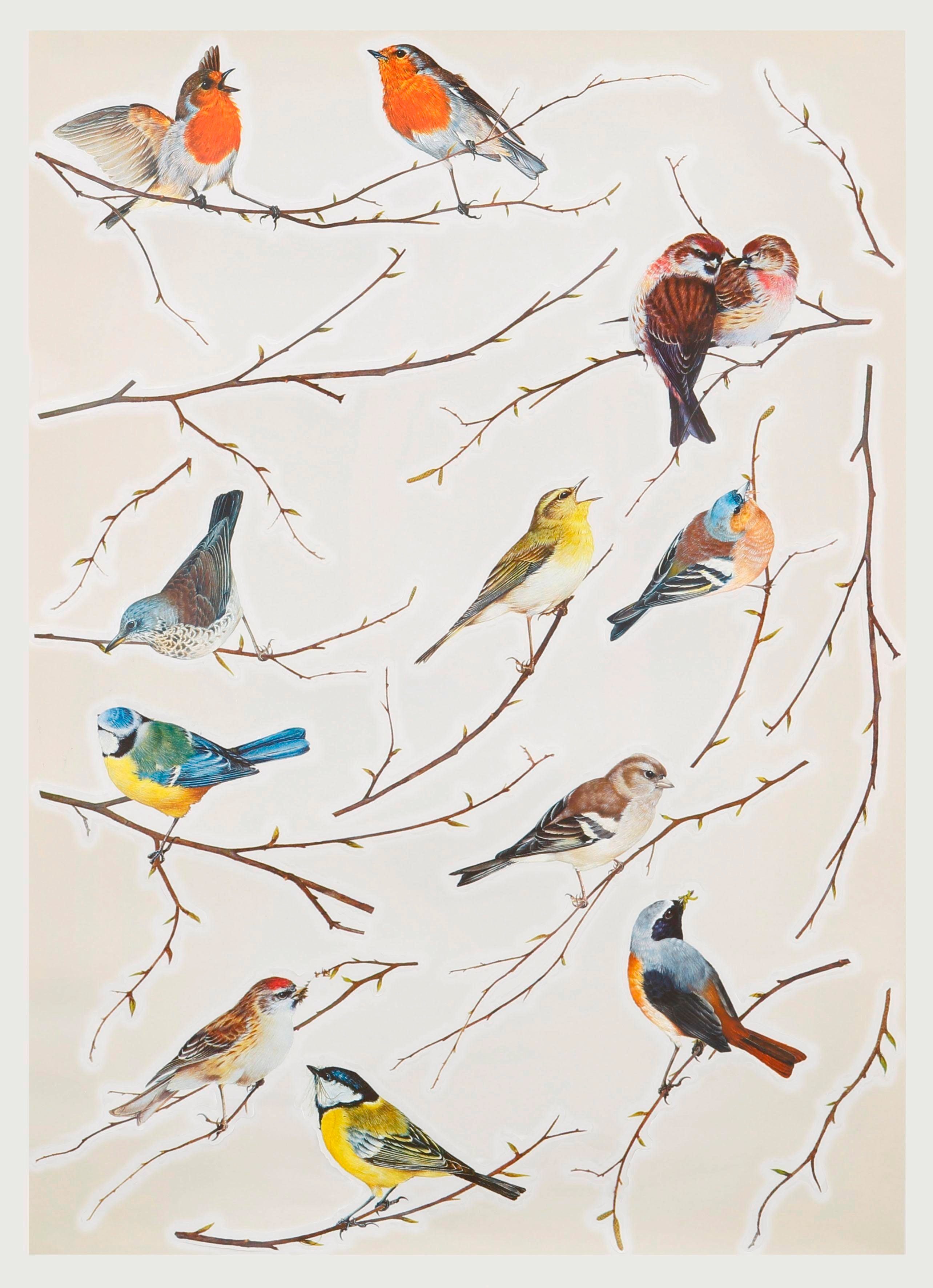 Komar Wandfolie Vogerl - afm. 50 x 70 cm zelfklevend, wandstickers