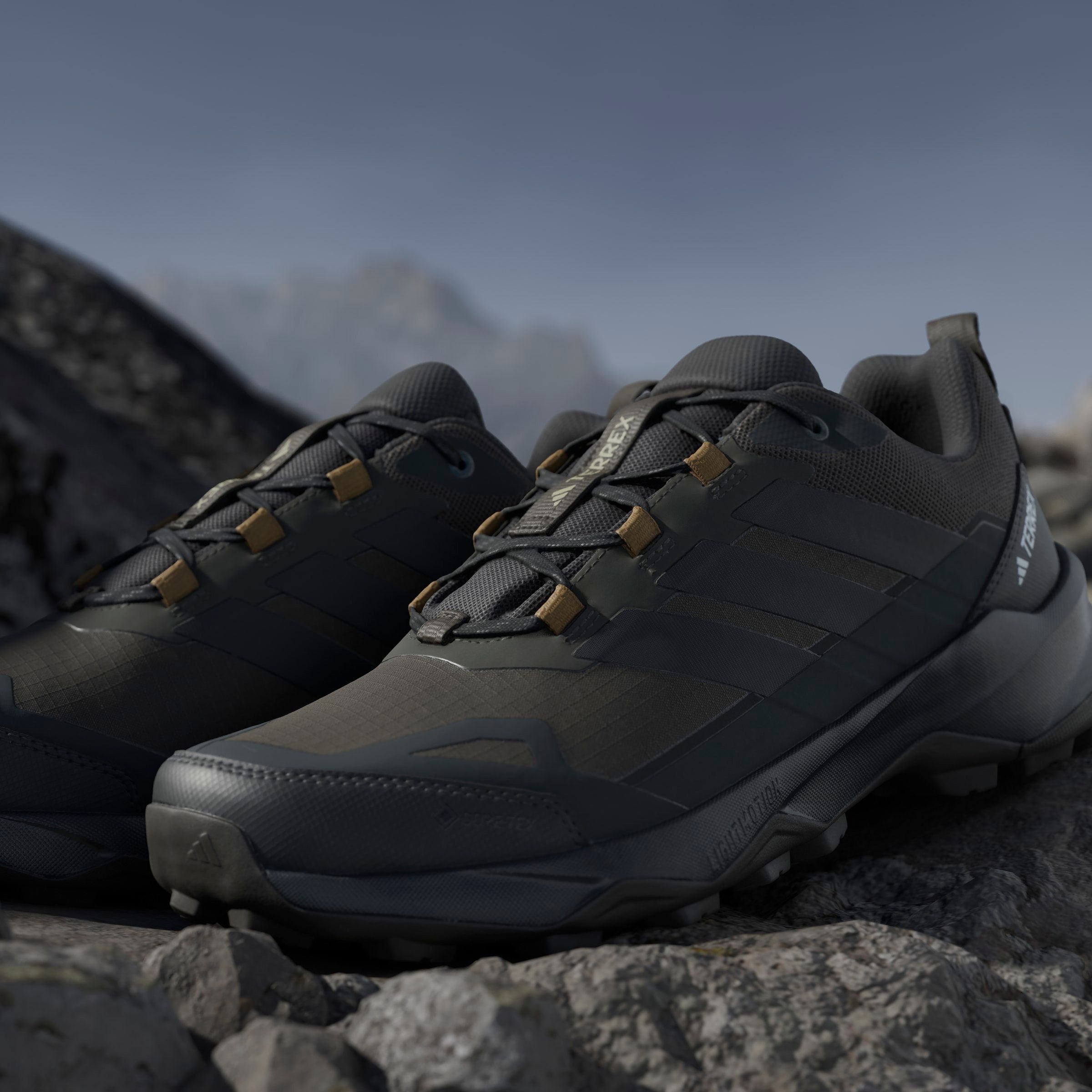 adidas TERREX Wandelschoenen TERREX SKYCHASER AX5 GORE-TEX E