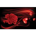 consalnet fotobehang abstract roos hart rood