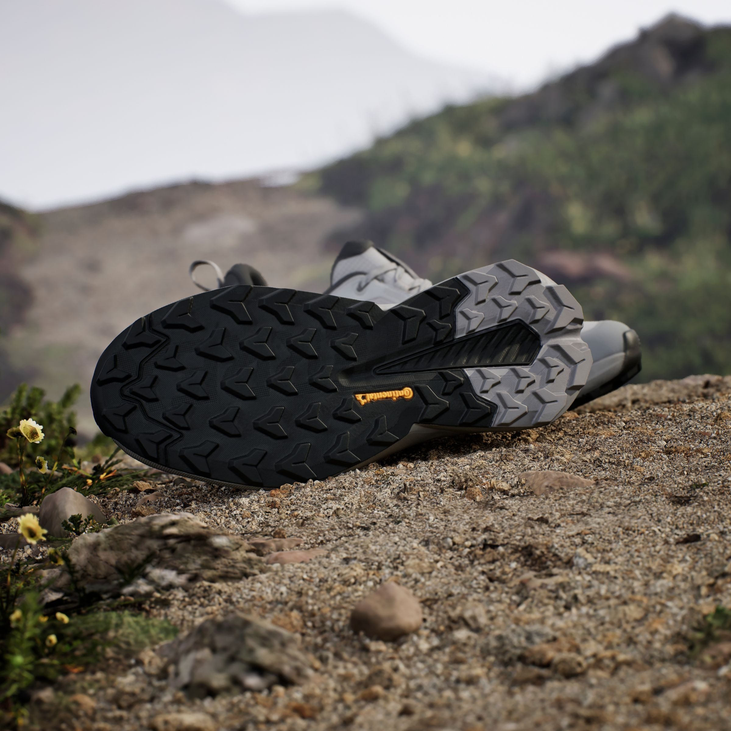 adidas TERREX Wandelschoenen TERREX TRAILMAKER 2 GORE-TEX