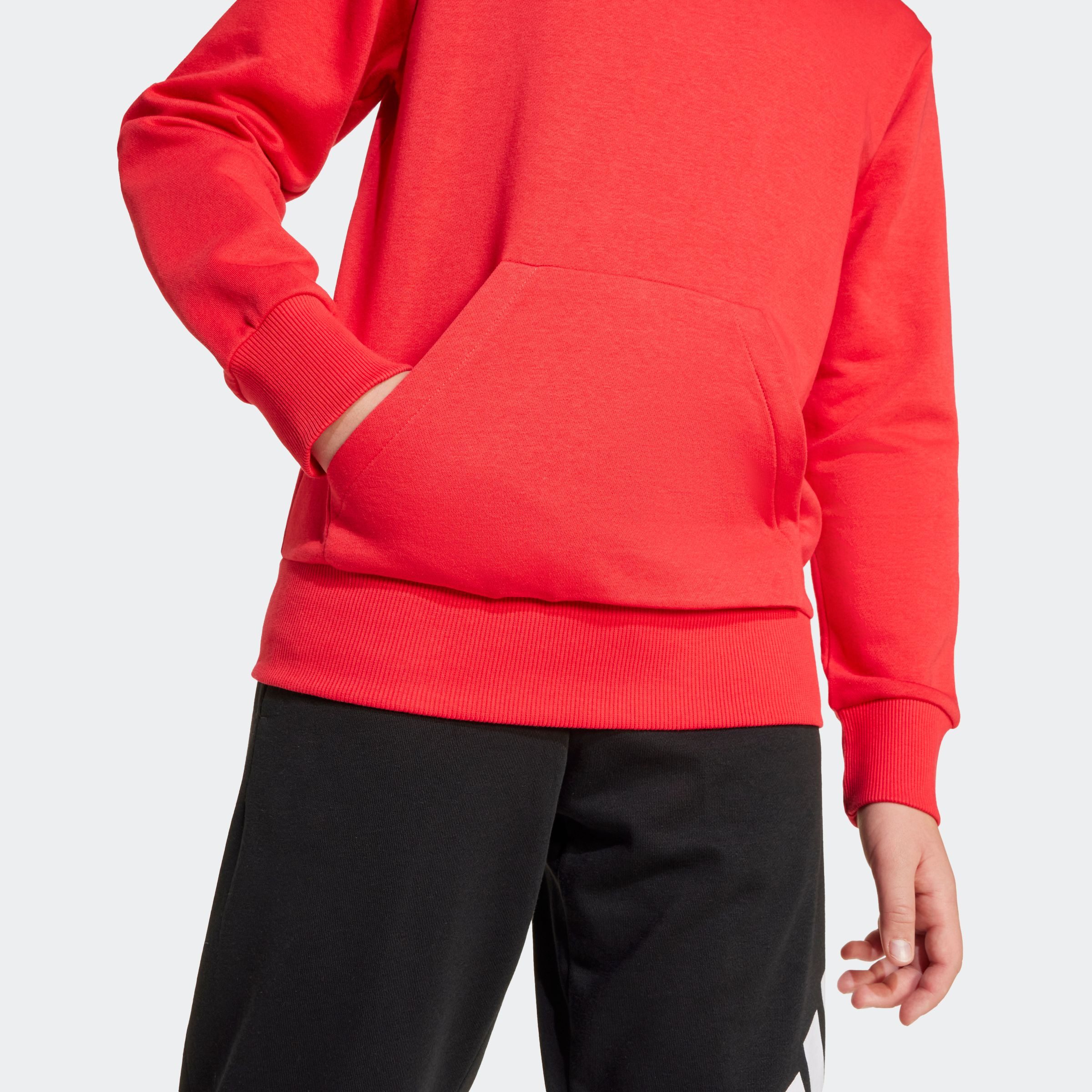 adidas Sportswear Hoodie J SL FL HD 225