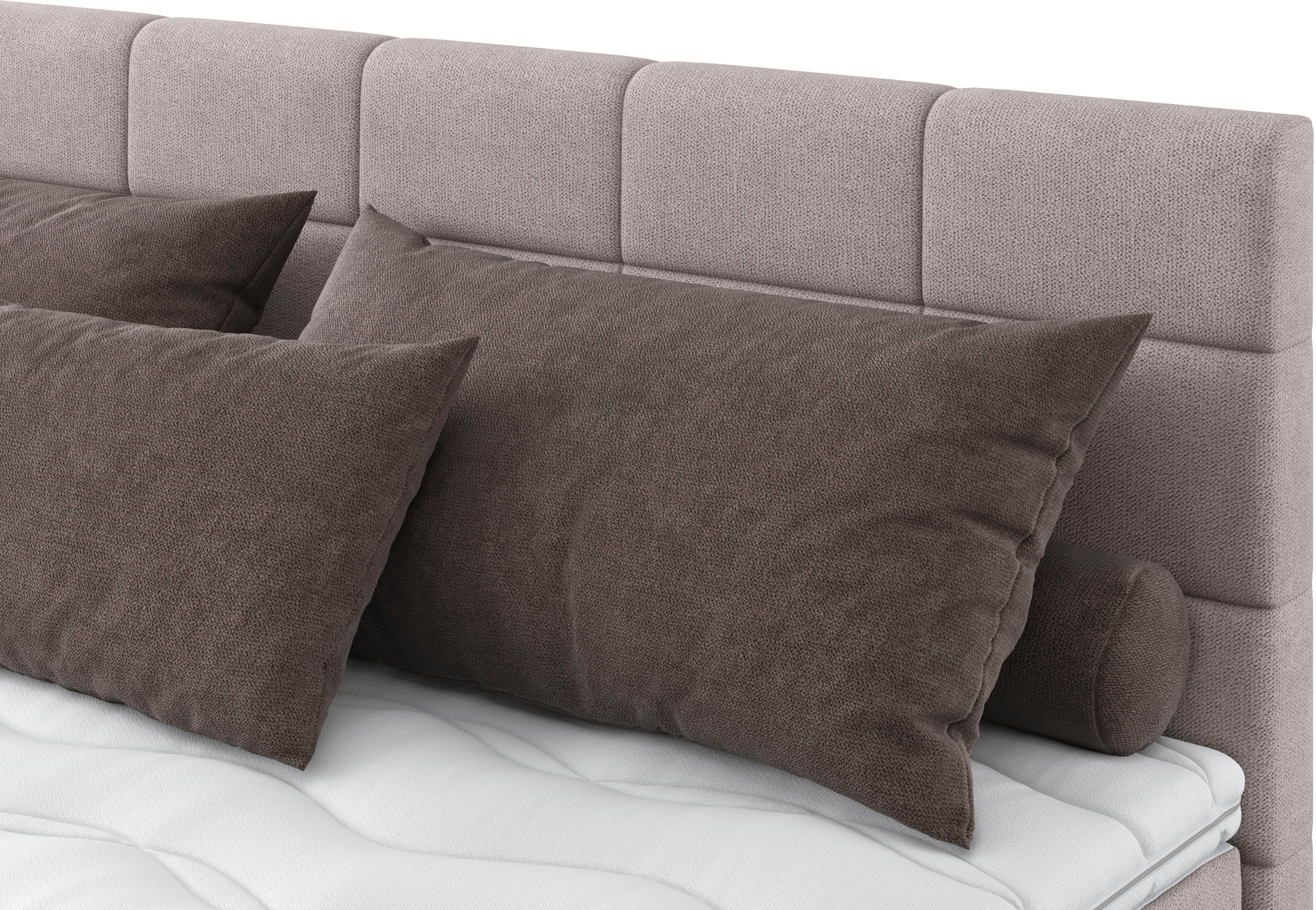 COTTA Boxspring Simba