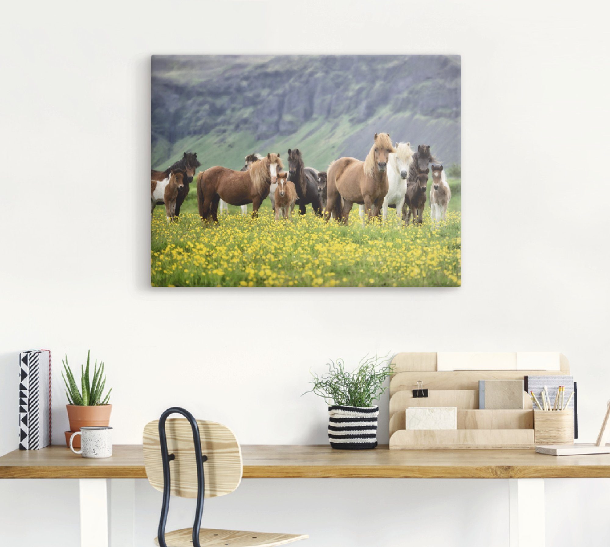 Artland Artprint IJslandse paarden VII als artprint op linnen, poster, muursticker in verschillende maten