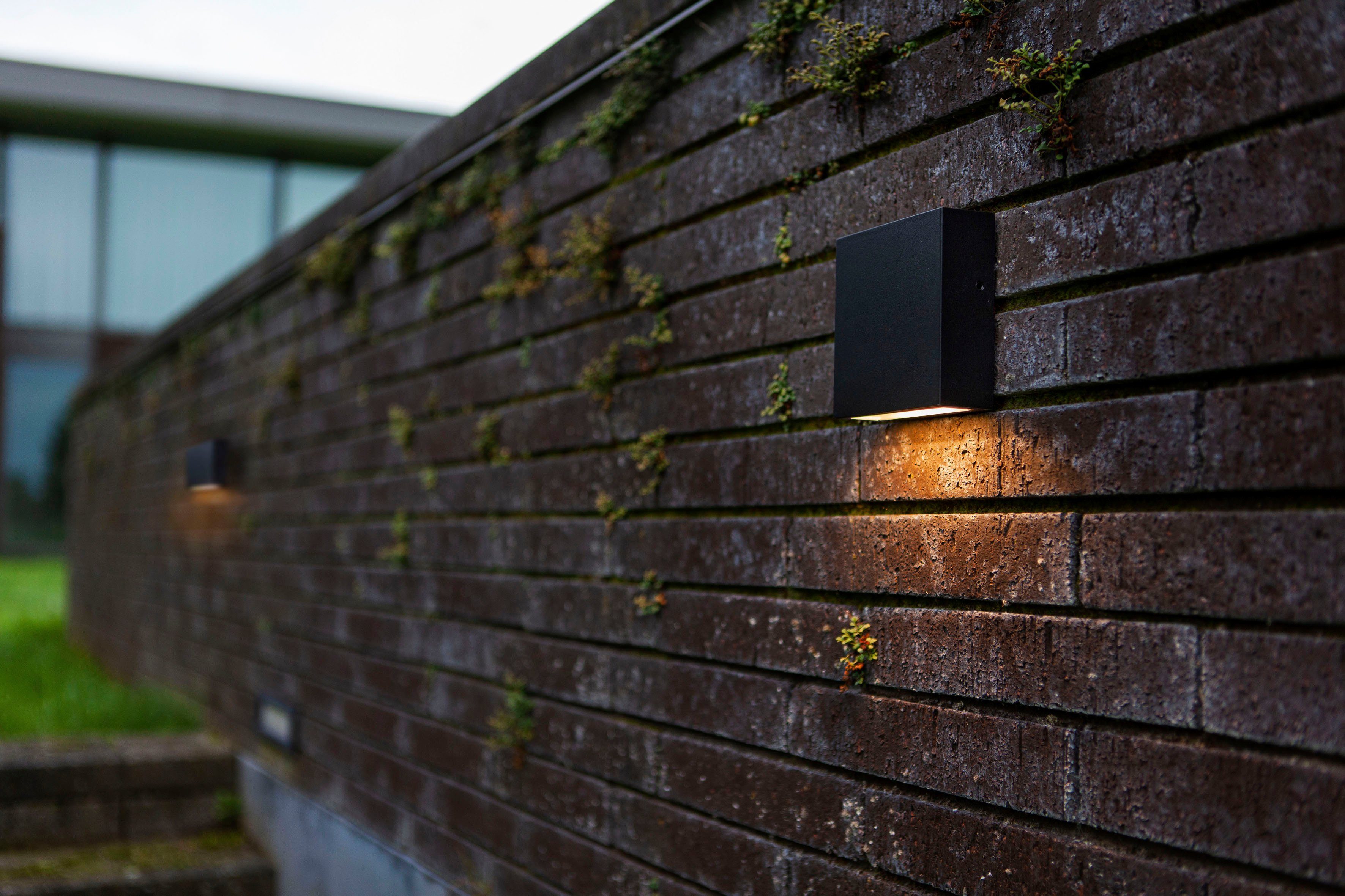 LUTEC Ledwandlamp voor buiten GEMINI XF (1 stuk)