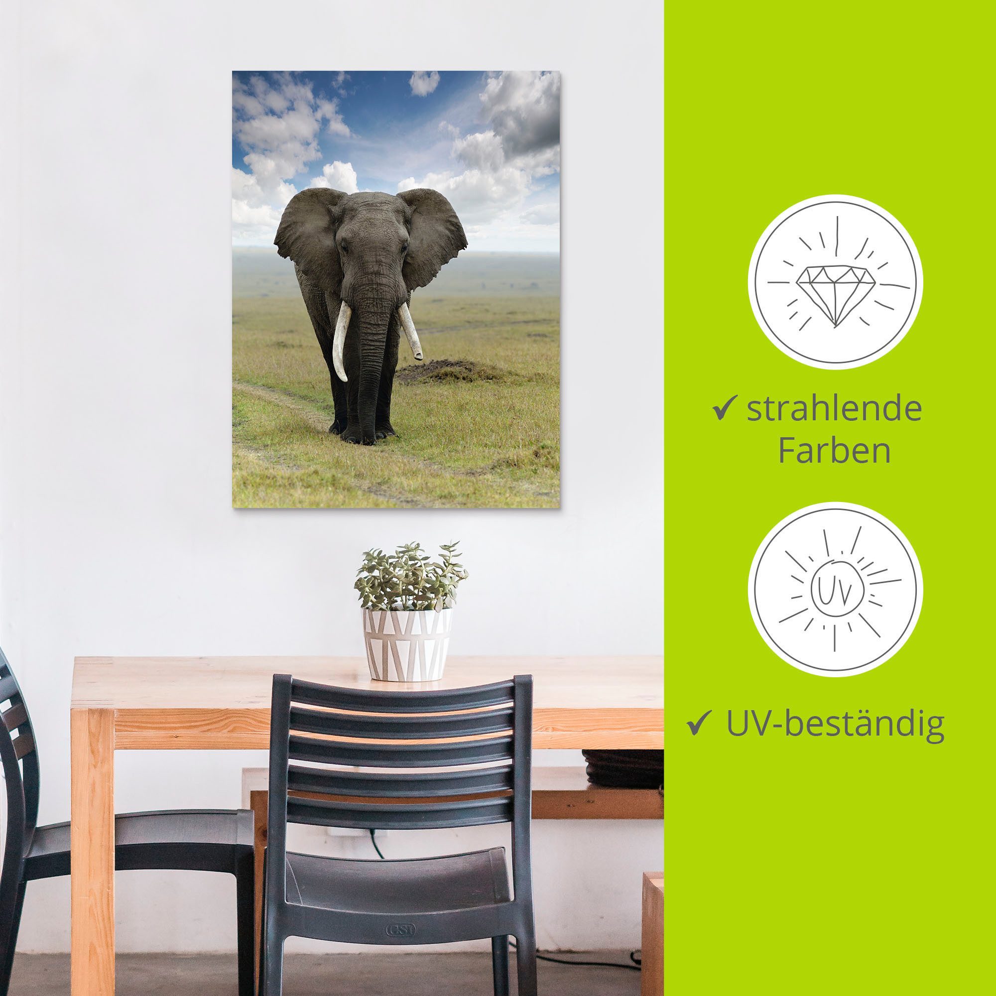 Artland Artprint Olifant als artprint van aluminium, artprint voor buiten, artprint op linnen, poster in verschillende maten. maten