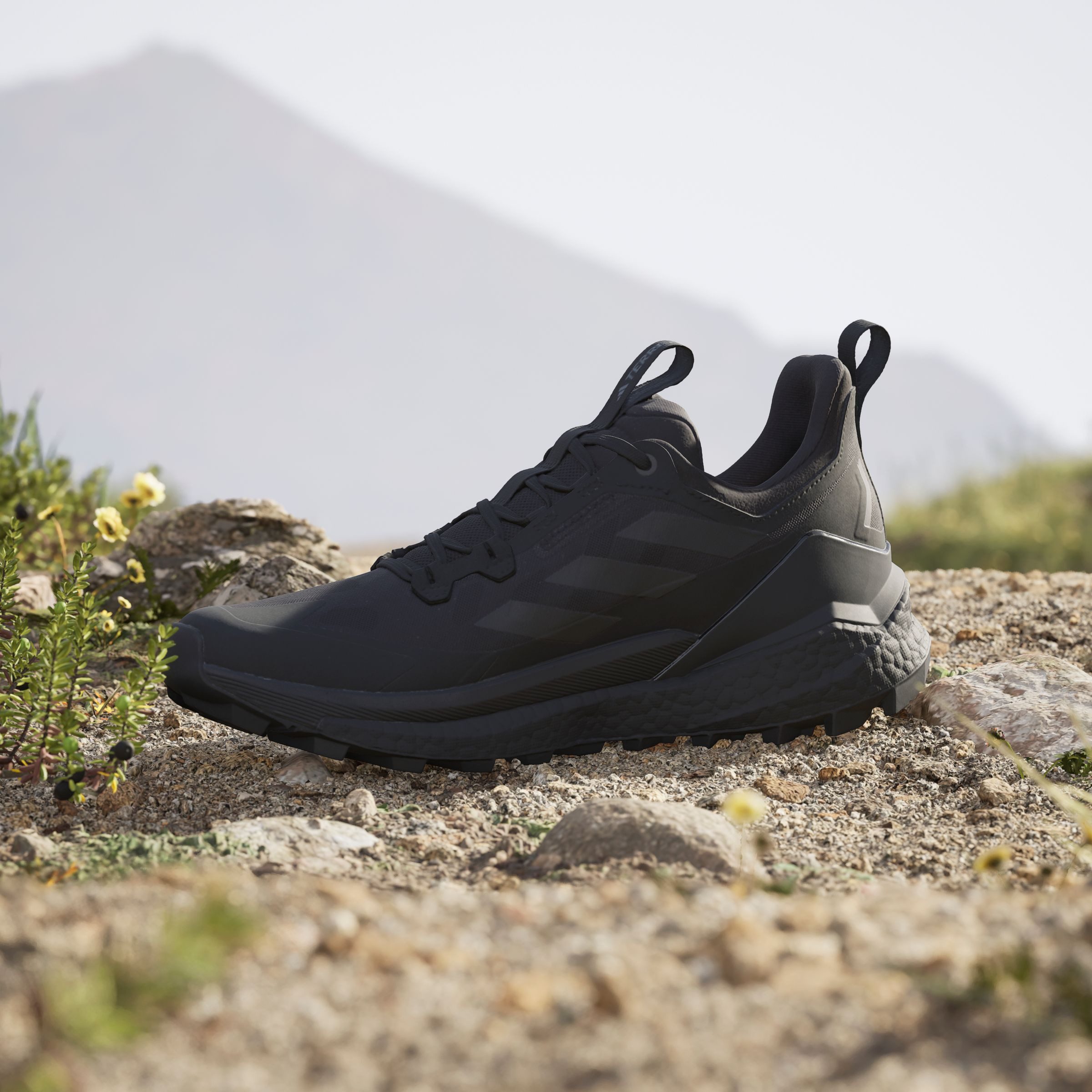 adidas TERREX Wandelschoenen TERREX FREE HIKER 2.0 LOW
