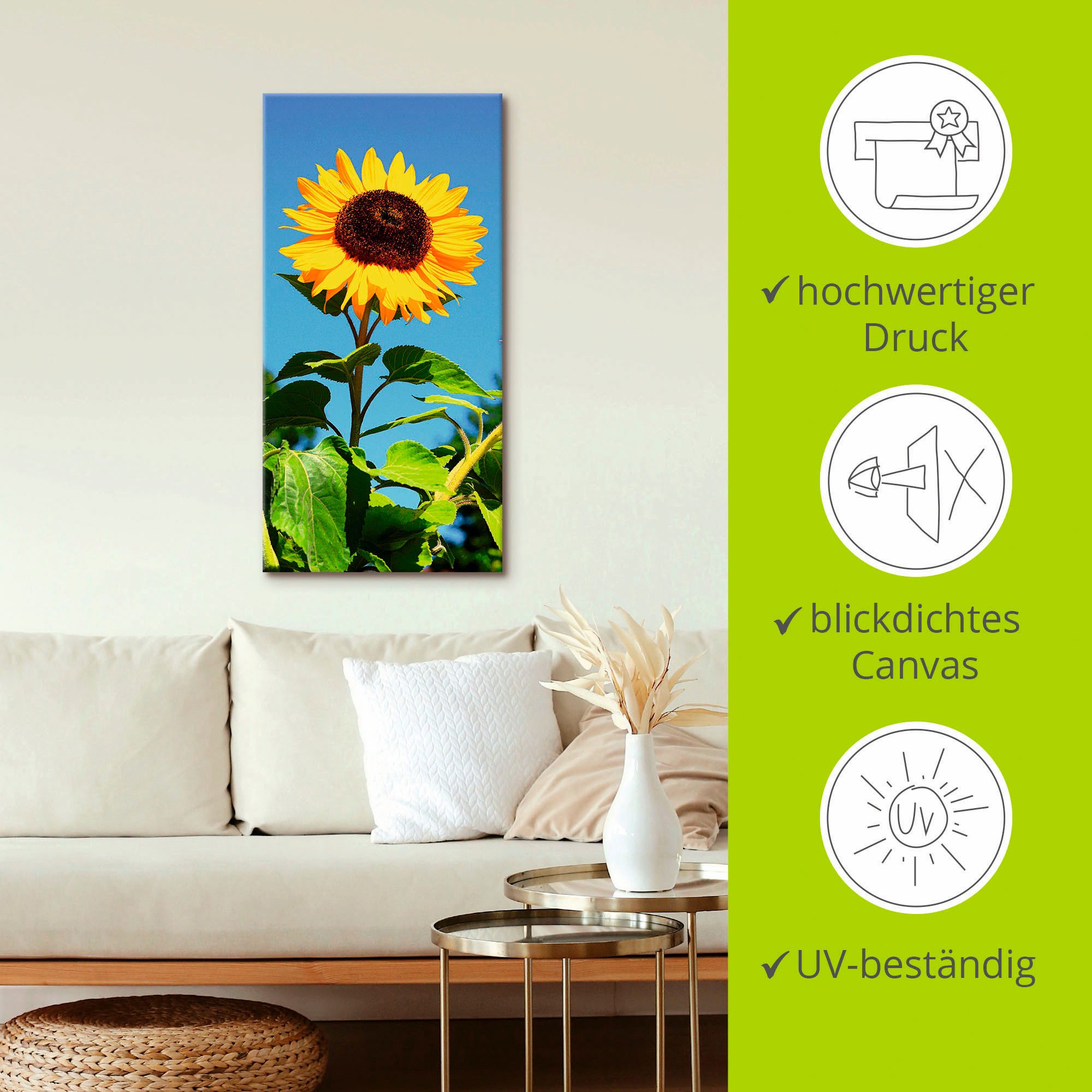 Artland Artprint Zonnebloem als artprint van aluminium, artprint voor buiten, artprint op linnen, poster in verschillende maten. maten
