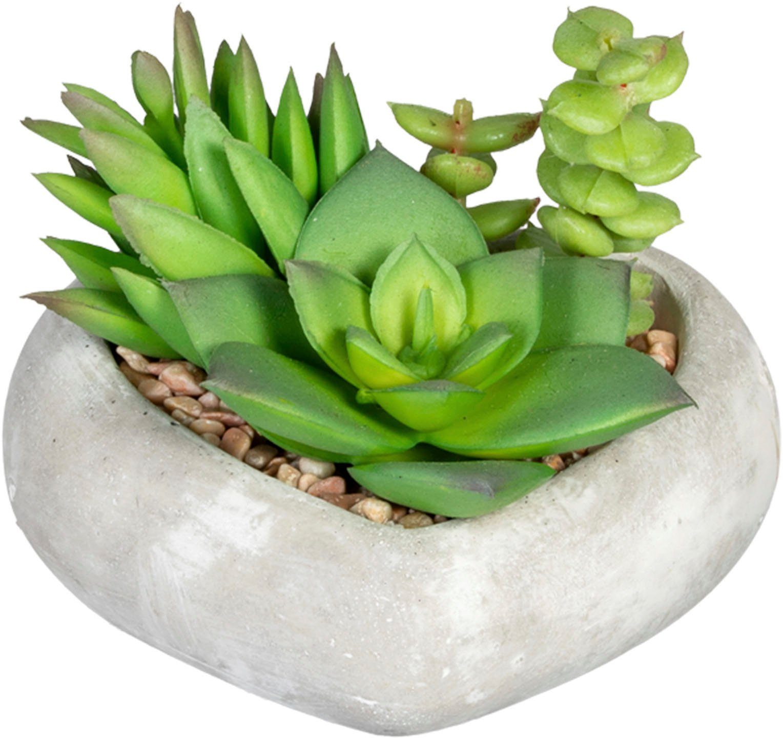 Creativ green Kunst-potplanten Vetplanten-arrangement in cementkom, set van 3 (3 stuks)