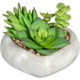 creativ green kunst-potplanten vetplanten-arrangement in cementkom, set van 3 groen