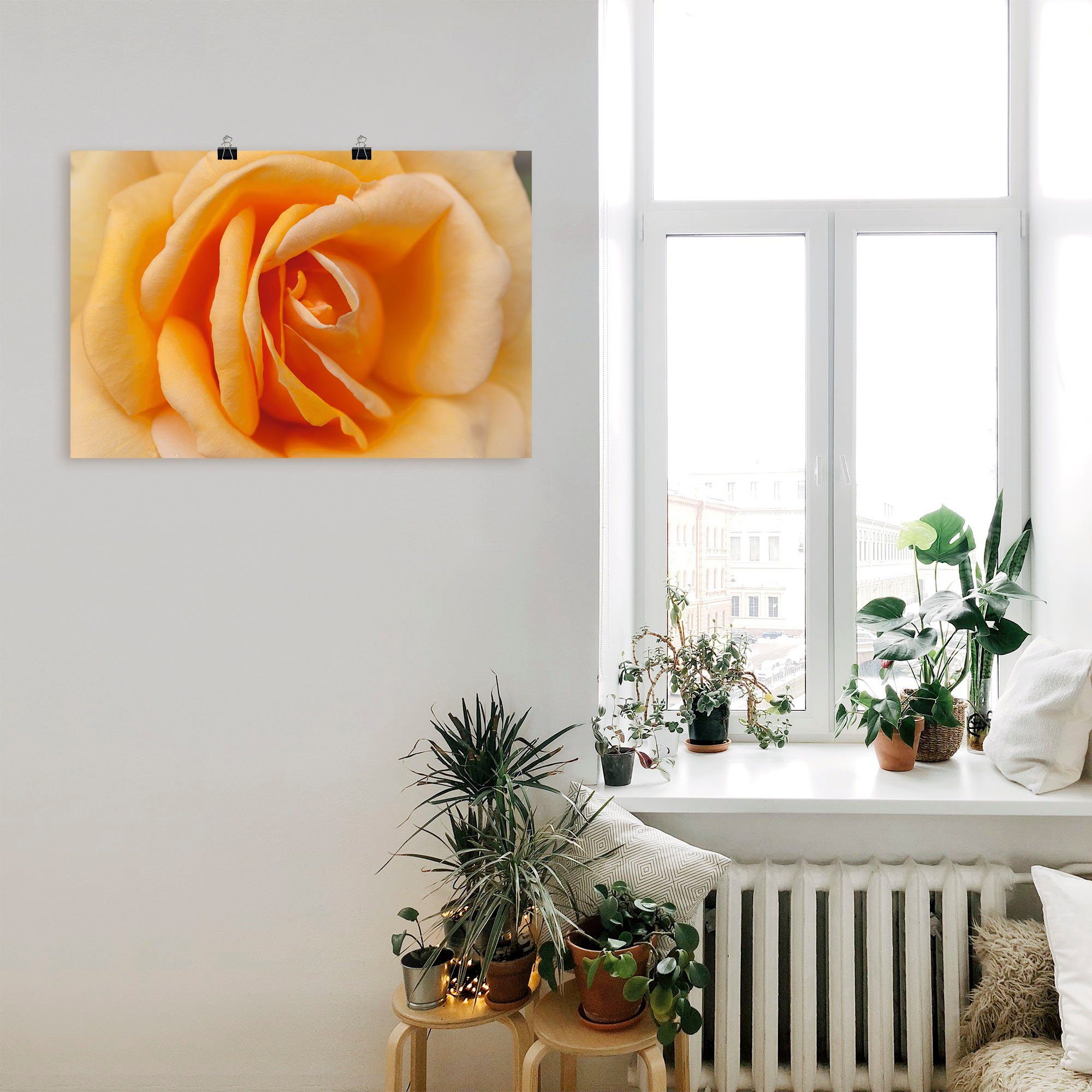 Artland Artprint Fijne roos in oranje als artprint op linnen, poster in verschillende formaten maten