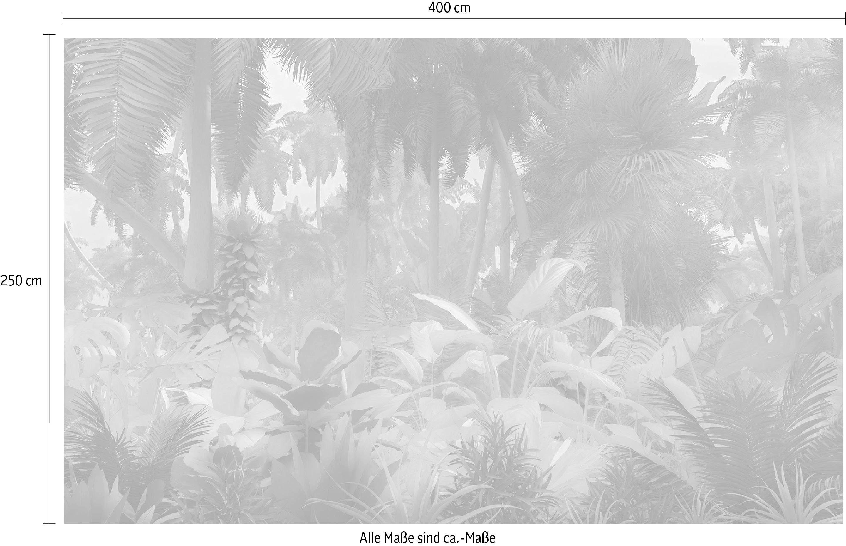 Komar Vliesbehang Digitale print vlies - Misty Jungle - Afmeting 400 x 250 cm (1 stuk)
