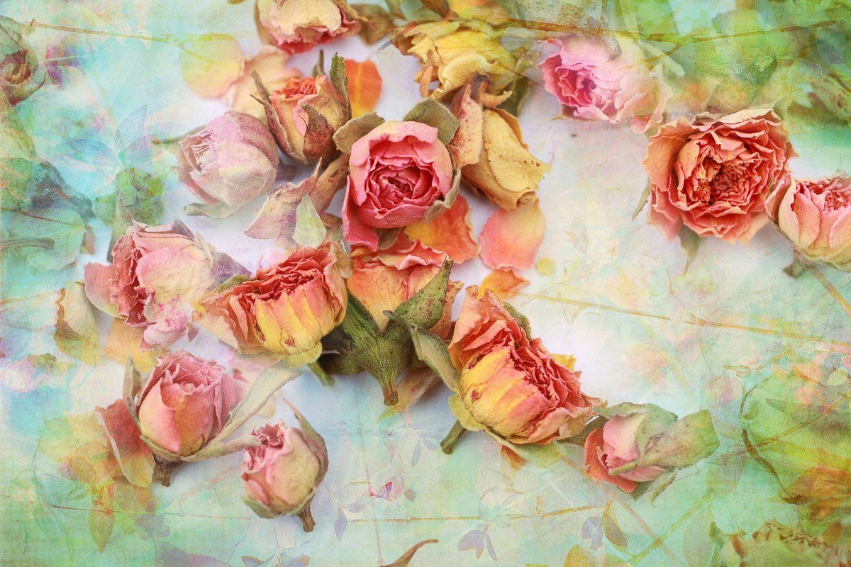 Papermoon Fotobehang Vintage rozen