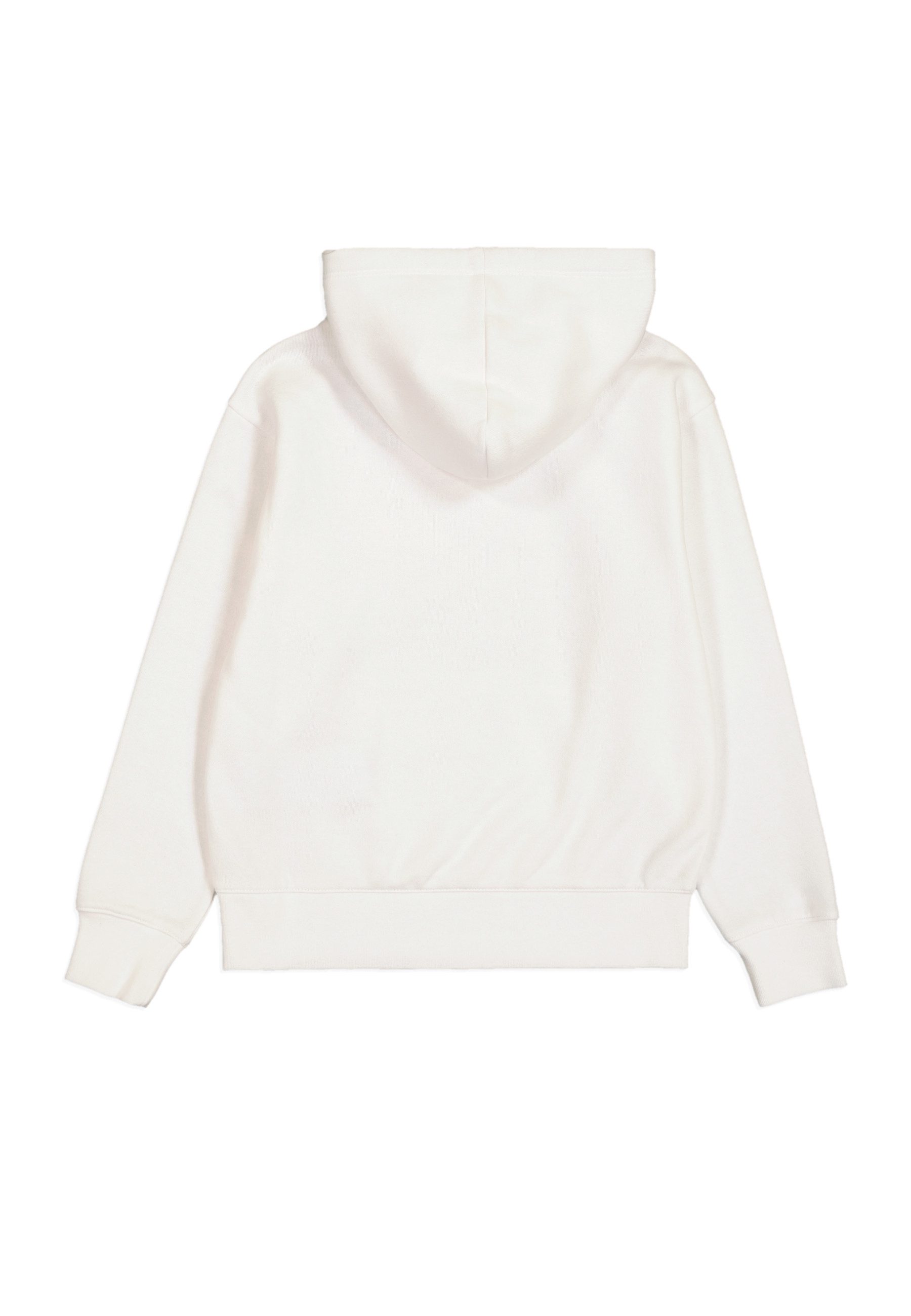 Champion Hoodie HOODED sweatshirt