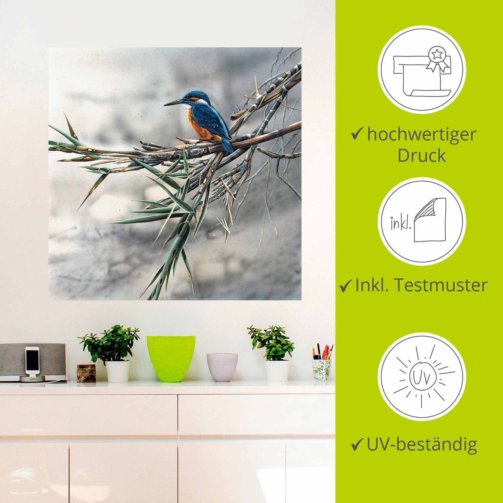 Artland Artprint Ijsvogel I als artprint op linnen, poster, muursticker in verschillende maten