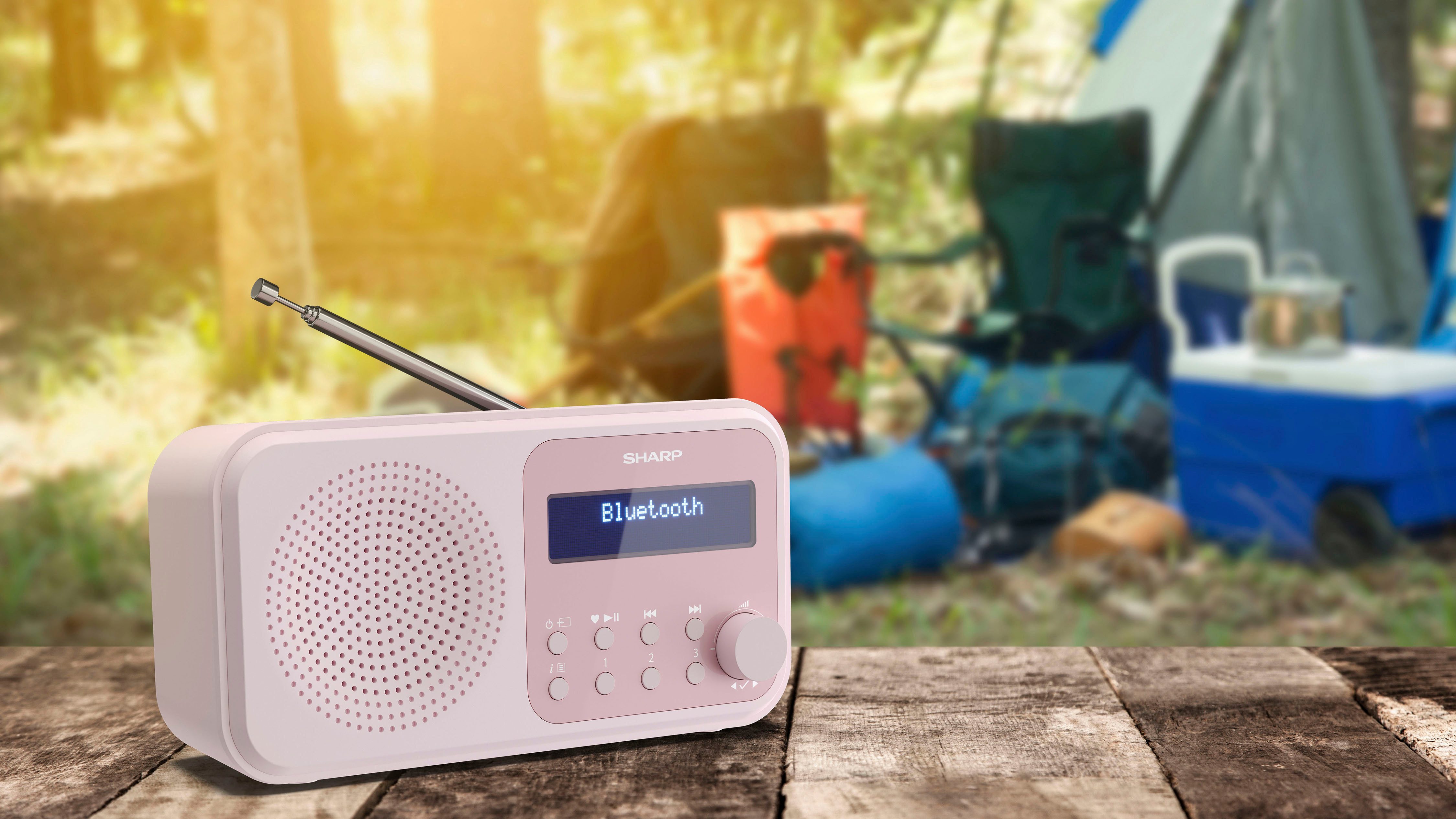 Sharp Radio DR-P420