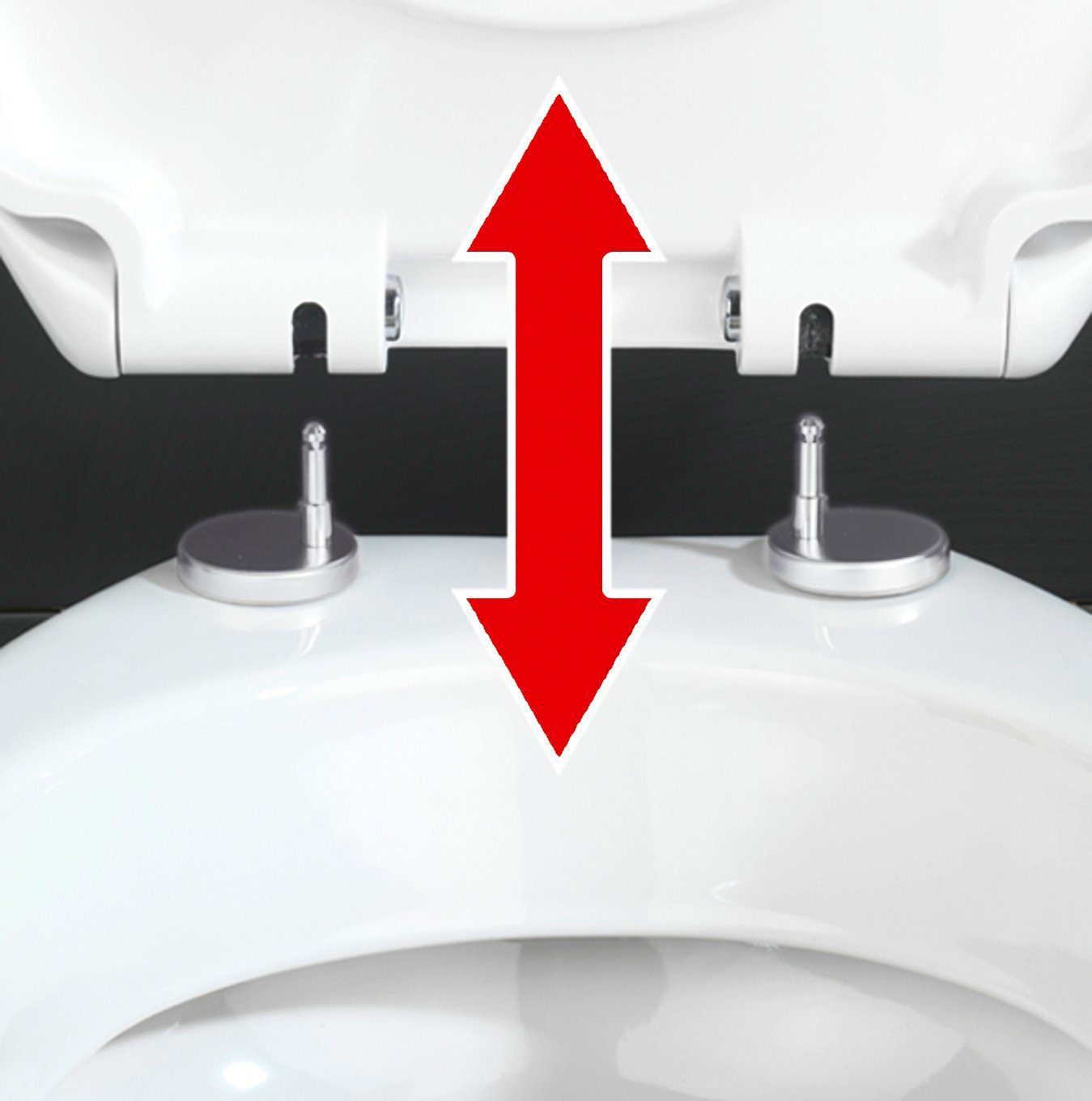 WENKO Toiletzitting Ottana Met soft-closemechanisme