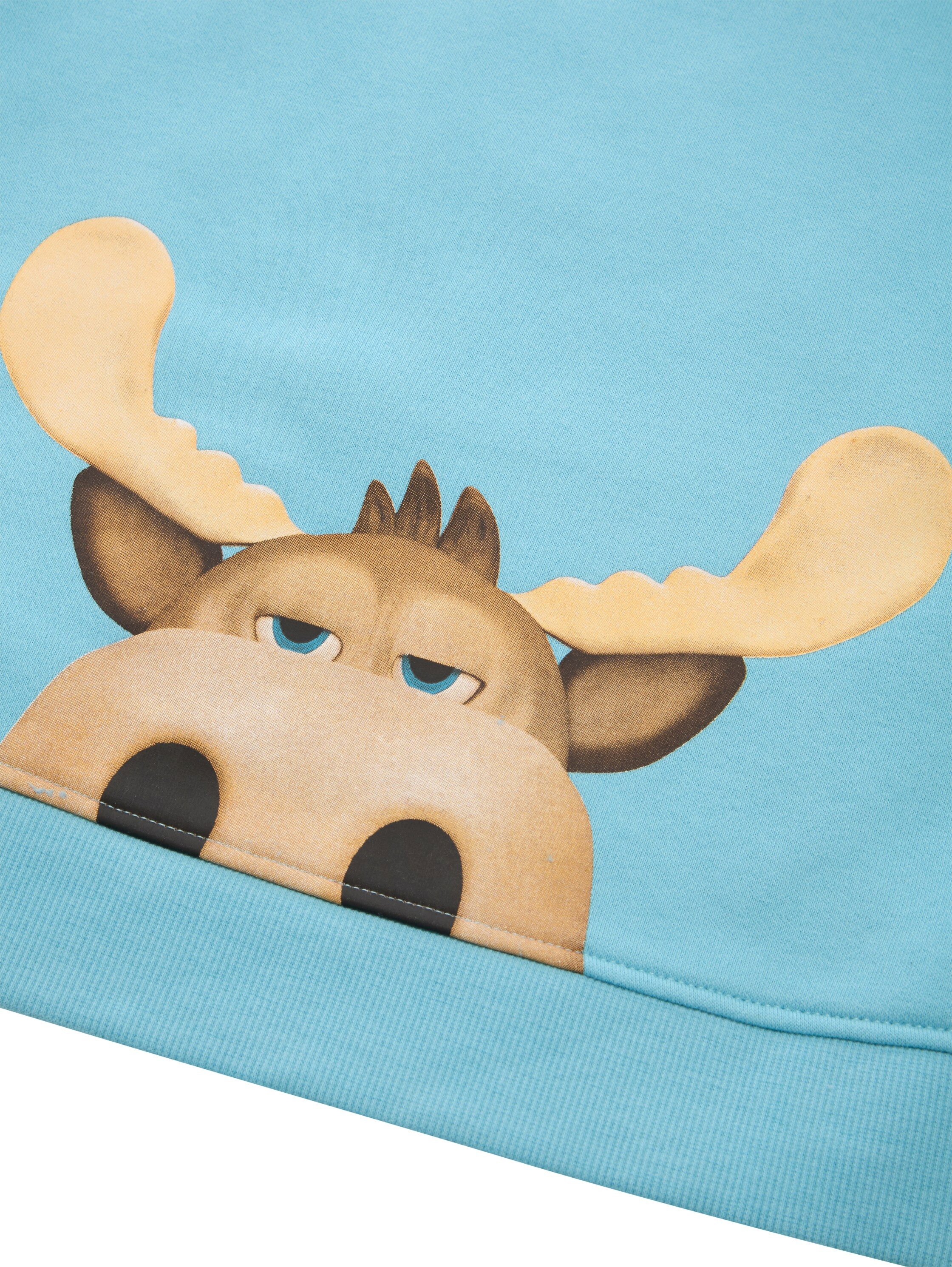 Tom Tailor Hoodie met eland-frontprint en rugprint, voor kids