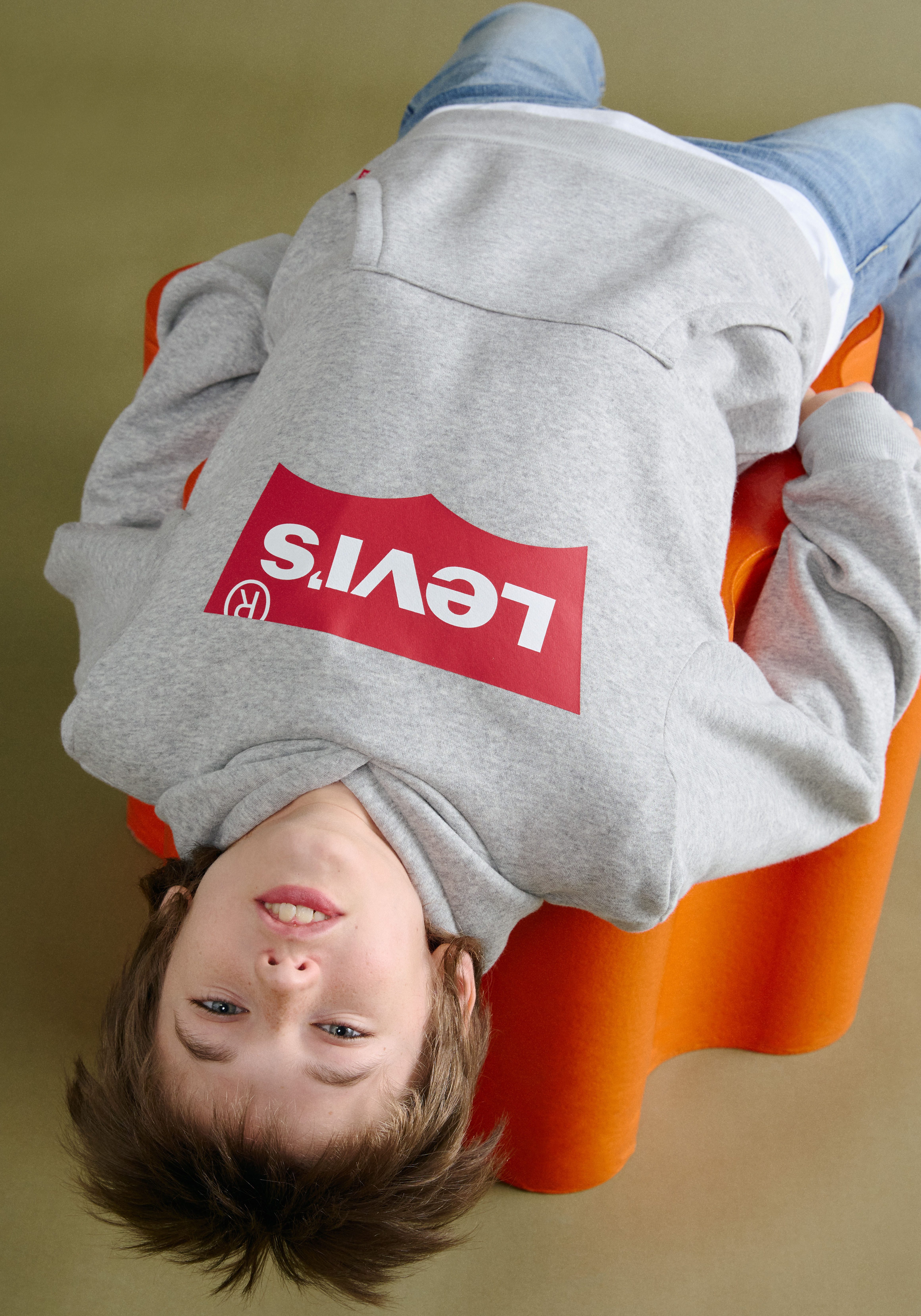 Levi's Kidswear Hoodie LVB BATWING PULLOVER HOODIE