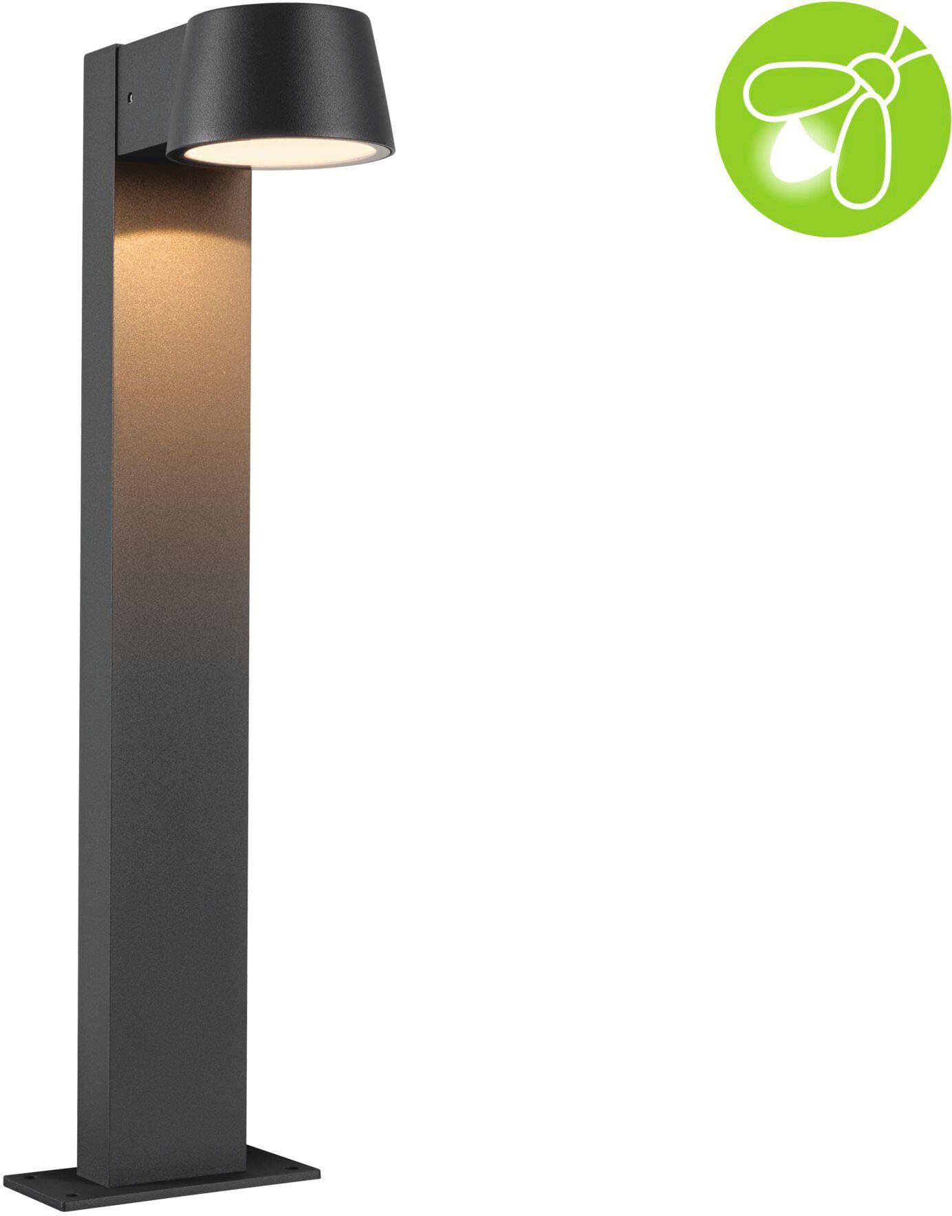 Paulmann Led-bolderlamp Buiten 230V Capea Aluminium Antraciet Insect friendly (1 stuk)