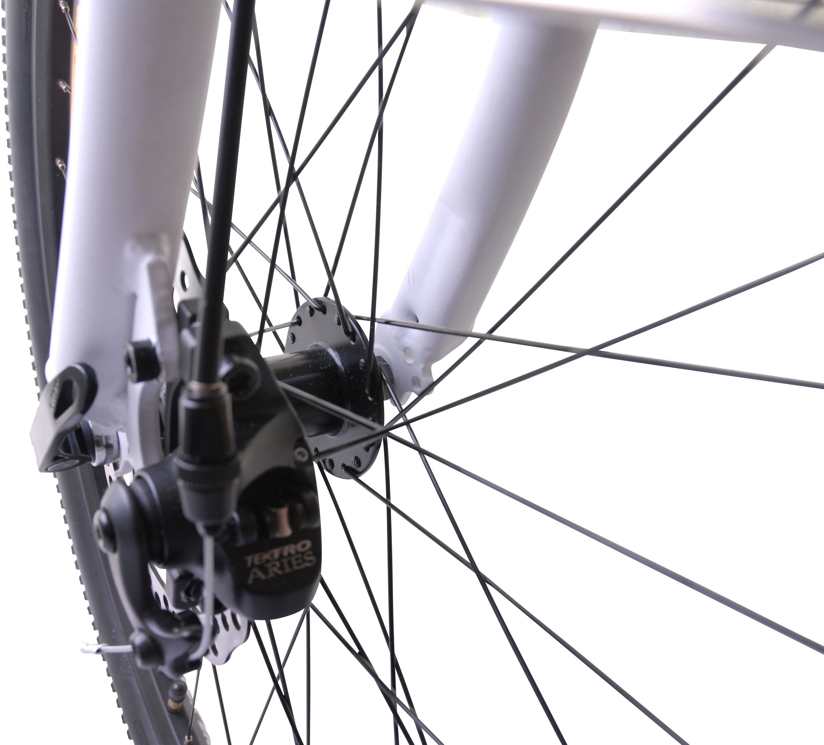 Llobe E-bike Voga Bianco Pedelec, elektrische fiets voor dames en heren