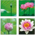 artland artprint op linnen lotusbloemen motieven (4 stuks) groen