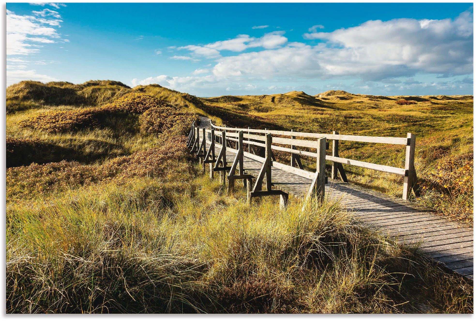 Artland Artprint Landschap in de duinen eiland Amrum als aluminiumfoto, buitenfoto in verschillende maten