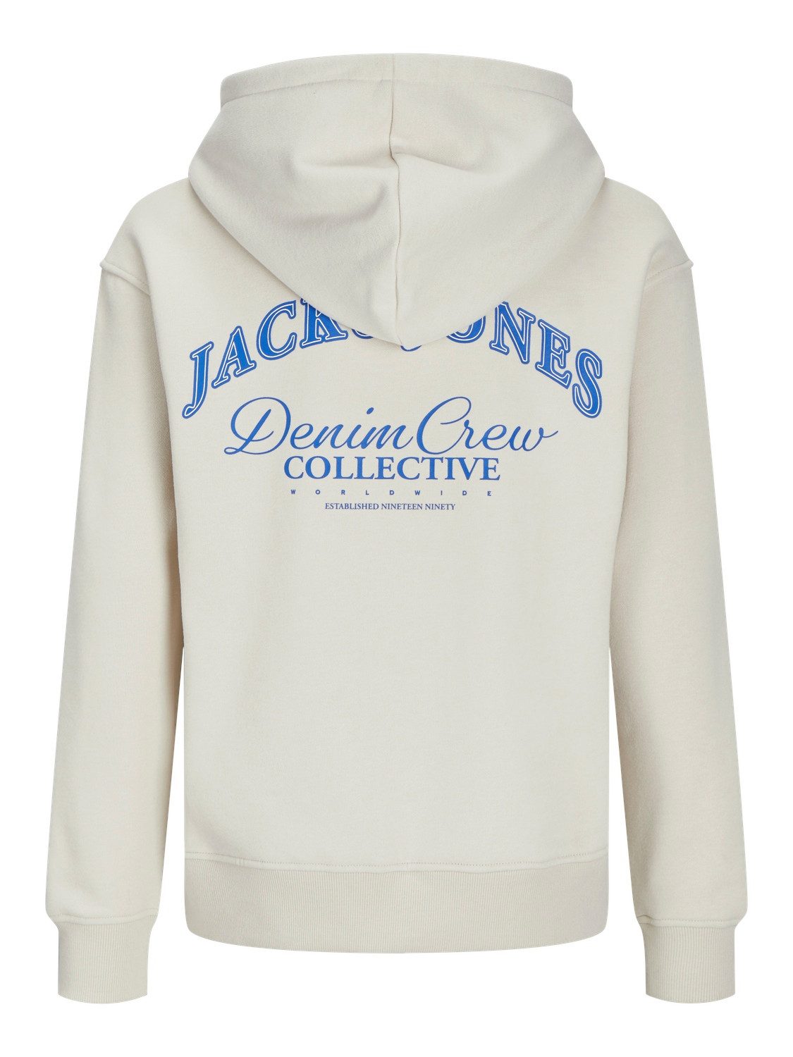 Jack & Jones Junior Hoodie JJEBRANDES BACKP RELAXED SWEAT H SN JNR