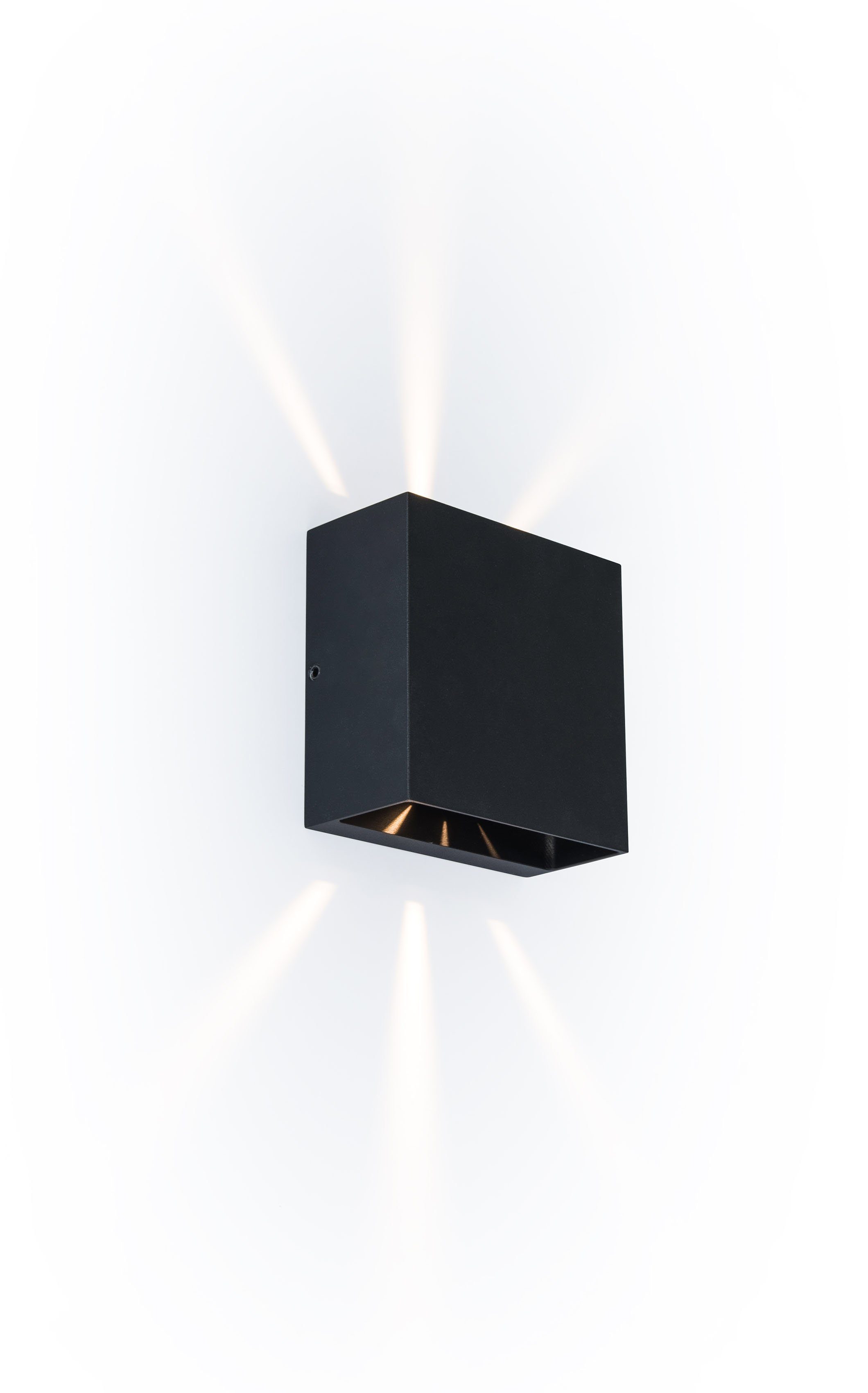 LUTEC Ledwandlamp voor buiten Gemini (1 stuk)