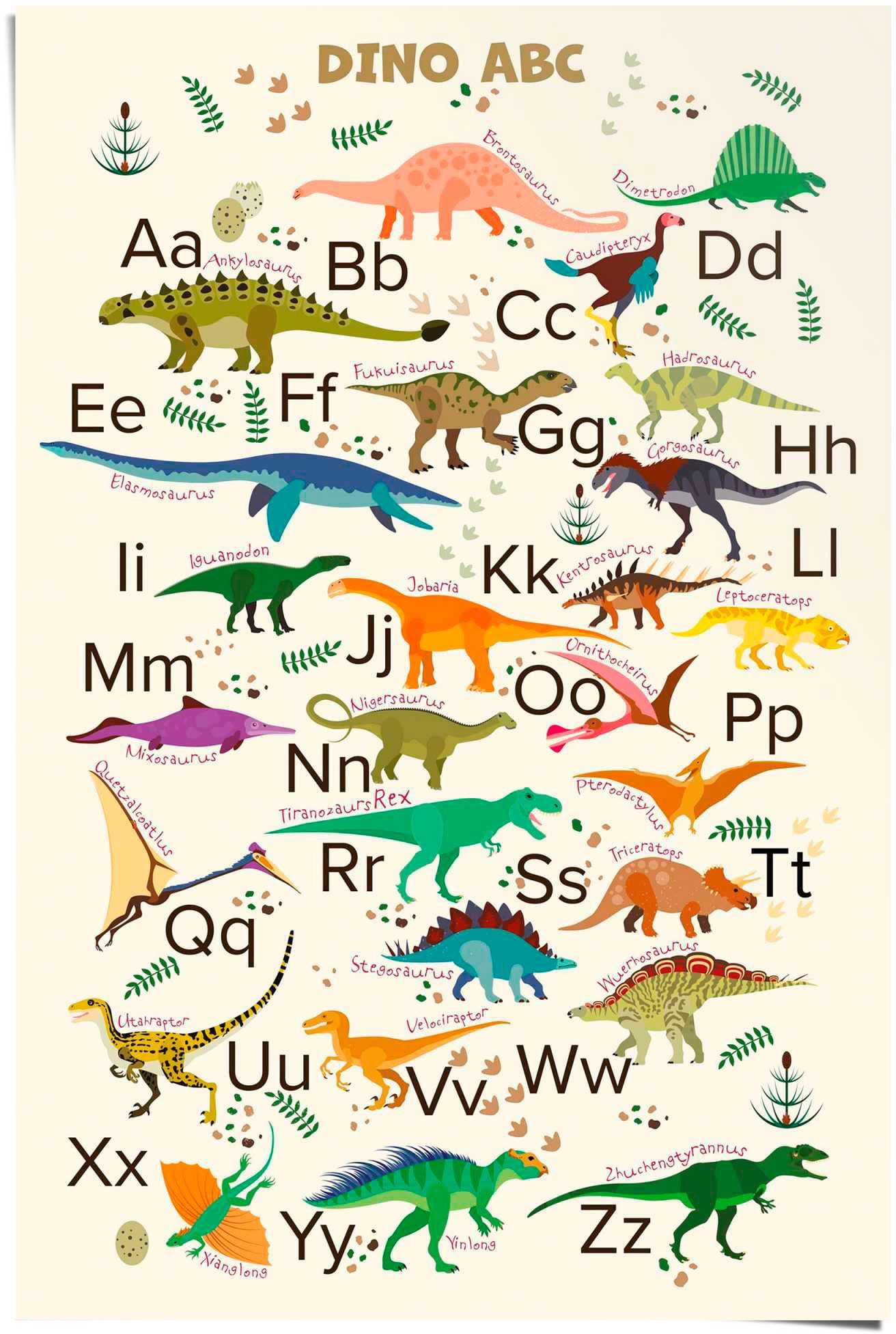 Reinders! Poster Dino ABC