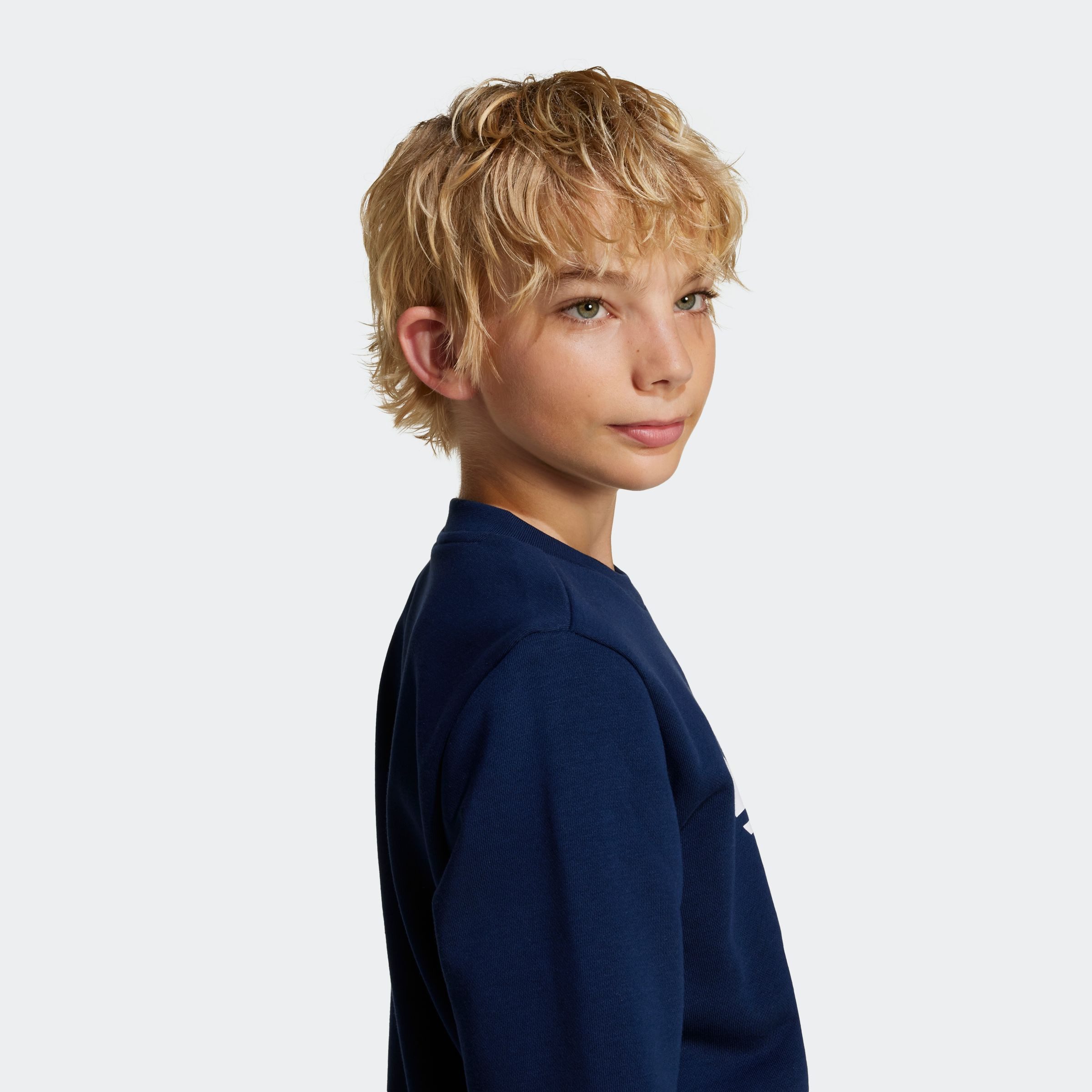 adidas Originals Sweatshirt TREFOIL CREW