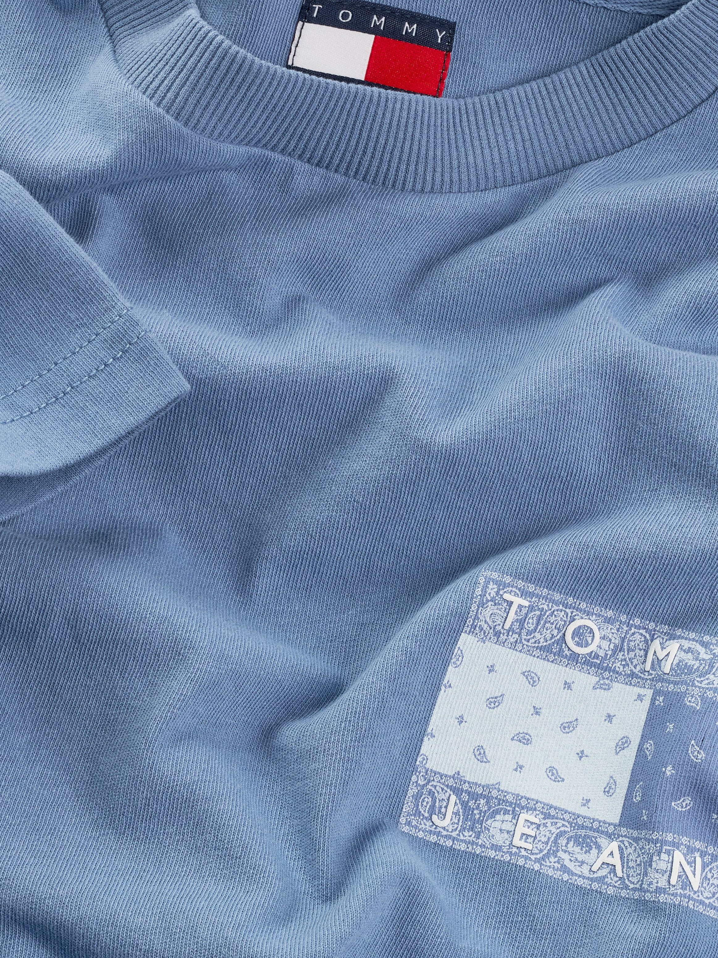TOMMY JEANS Shirt met korte mouwen TJM REG PAISLEY FLAG TEE EXT