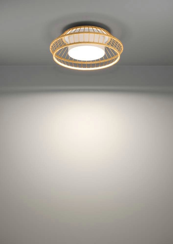 EGLO Plafondlamp YUKU-Z ZigBee, app en spraakbesturing Alexa, RGB, dimbaar, Ø 46 cm (1 stuk)