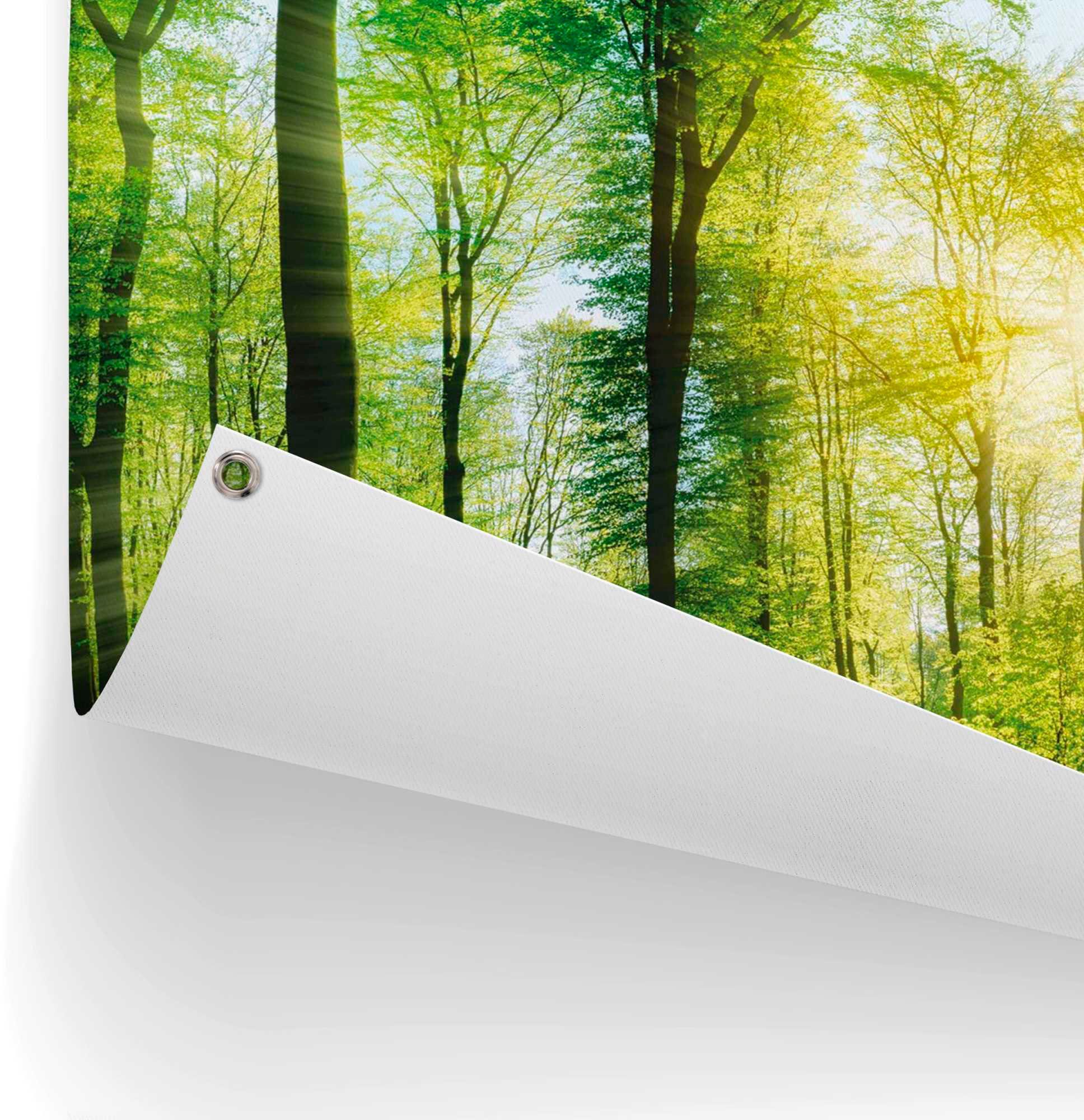 Reinders! Poster Zomerbos