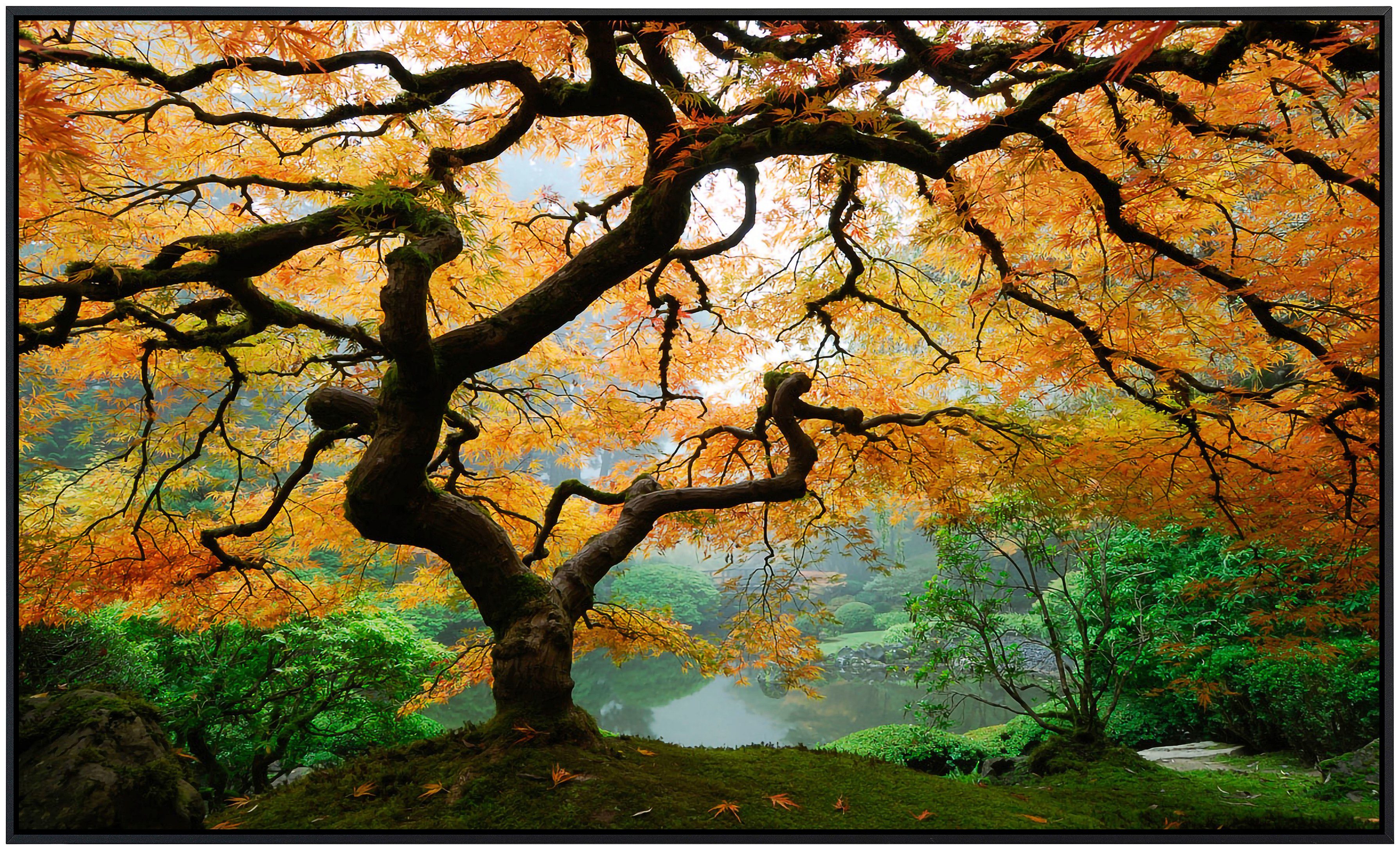Papermoon Infraroodverwarming Herfst ahornboom zeer aangename stralingswarmte