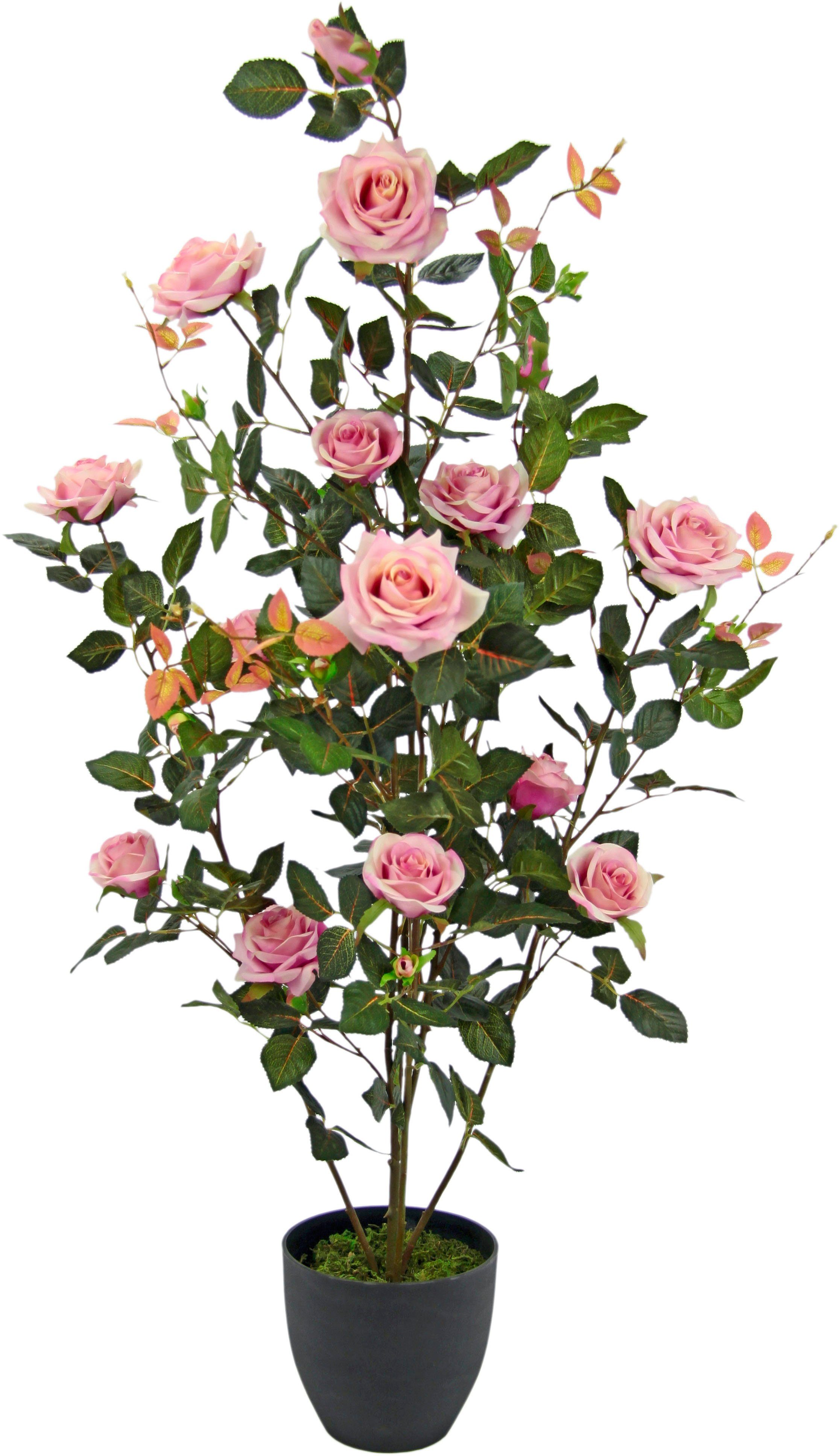 I.GE.A. Kunstboom Rozenstruik in pot Kunstrozen kunstplanten rozenstruik decoratie huwelijksfeest (1 stuk)
