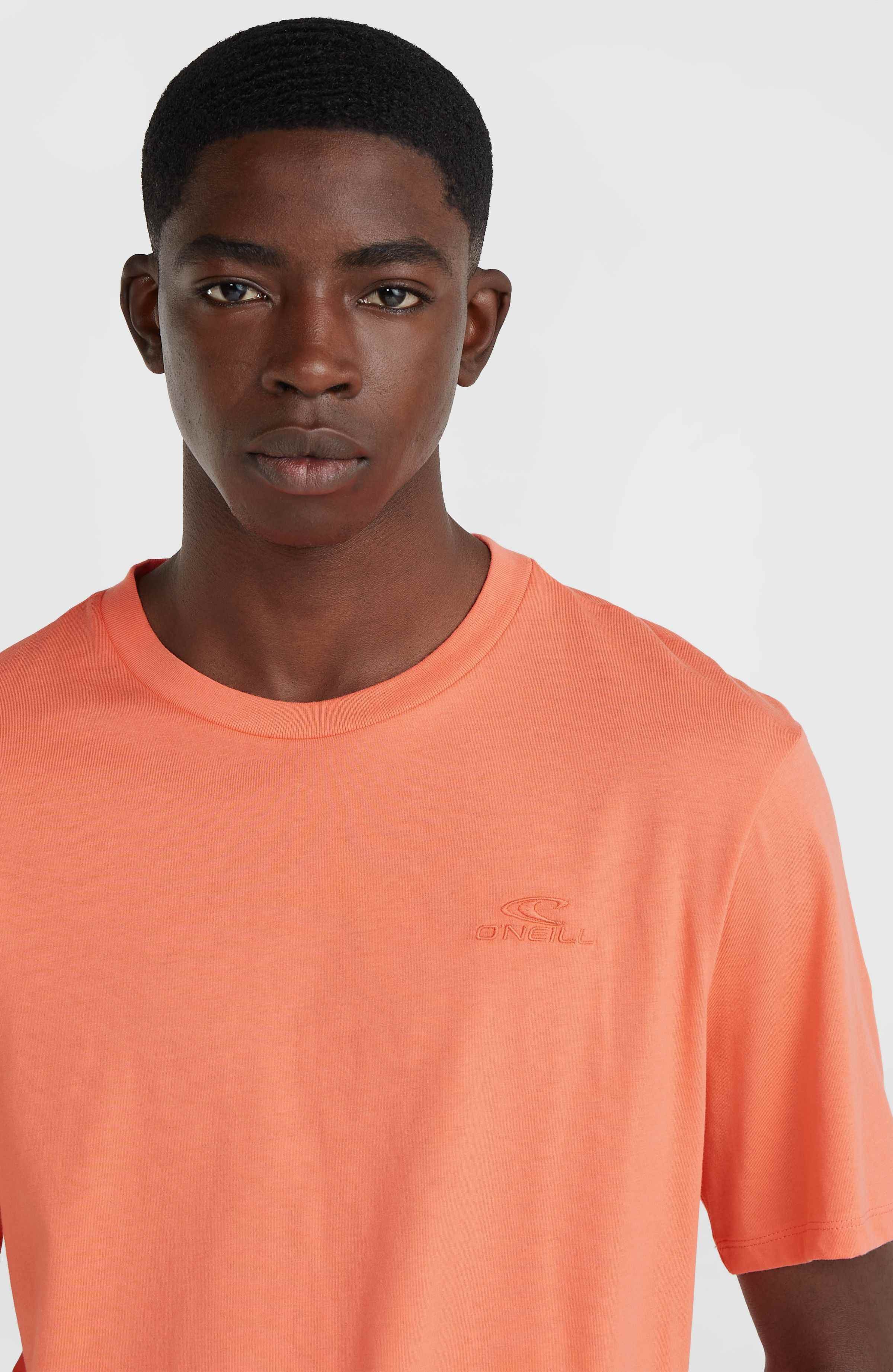 O'Neill T-shirt O'NEILL SMALL LOGO T-SHIRT