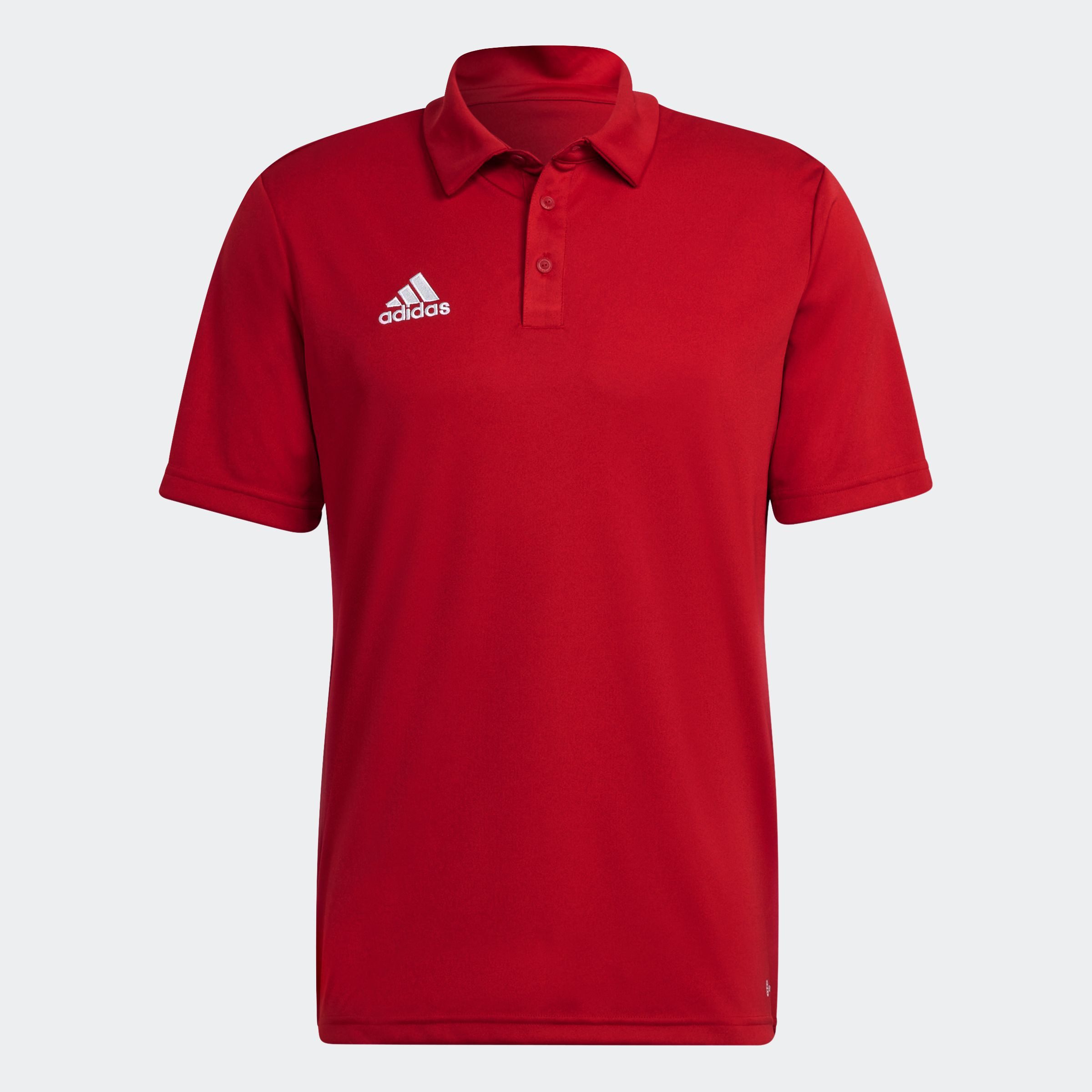 adidas Performance Poloshirt ENT22 POLO