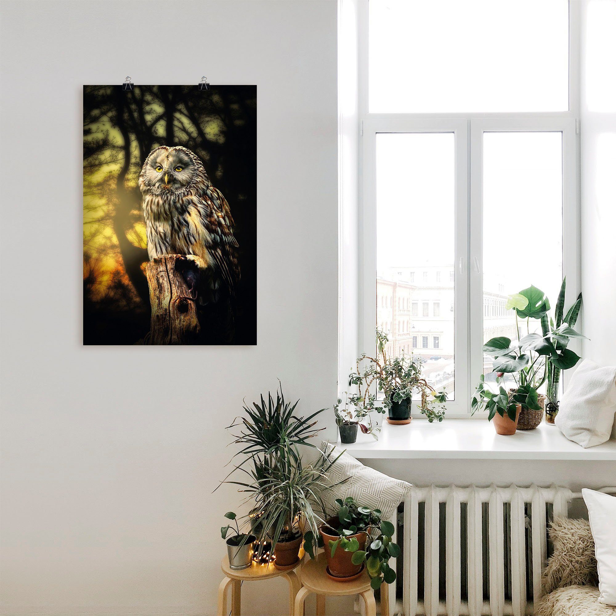 Artland Artprint Uil als artprint van aluminium, artprint voor buiten, artprint op linnen, poster in verschillende maten. maten